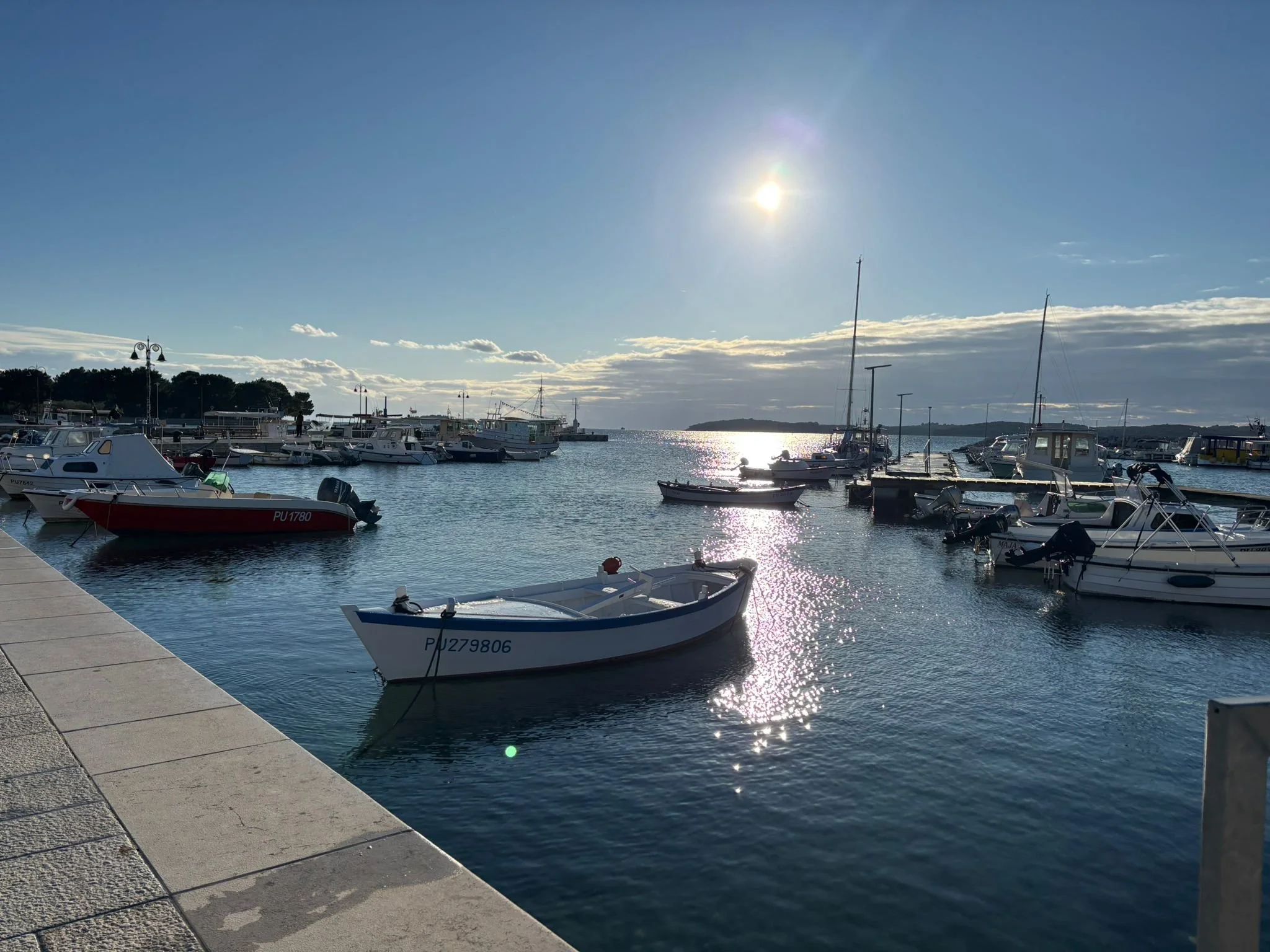 WhatsApp Image 2026-01-12 at 13.43.39.jpeg