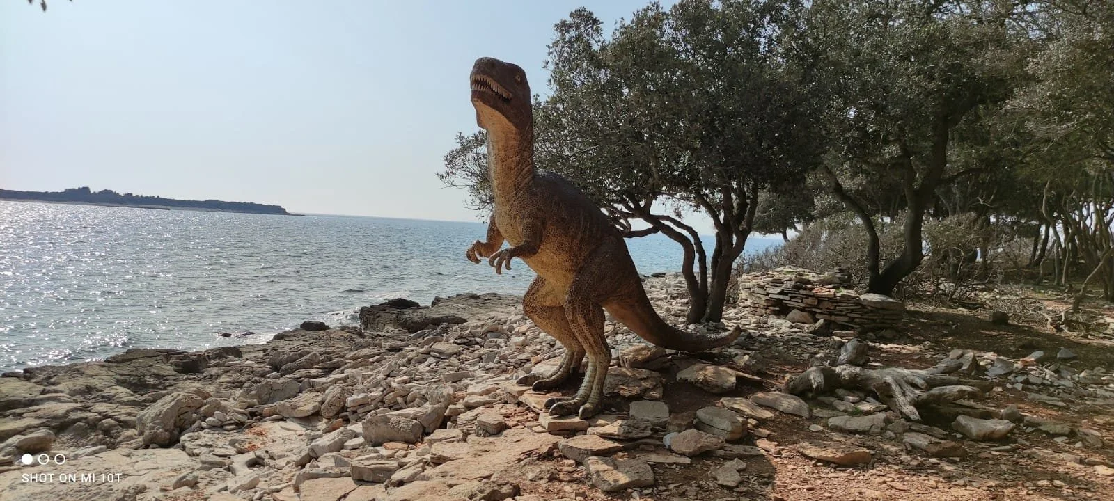 WhatsApp Image 2021-11-24 at 13.14.46 (2).jpeg