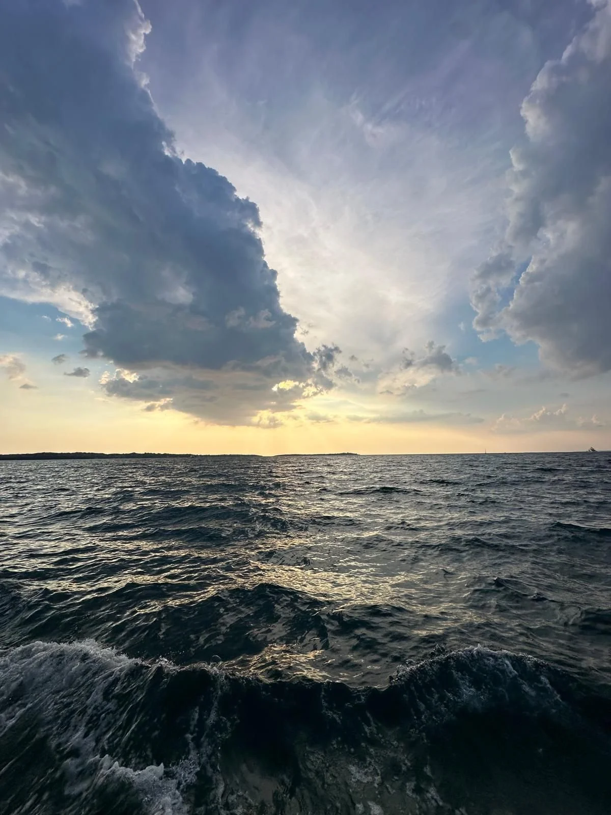 WhatsApp Image 2024-08-26 at 18.54.04 (2).jpeg