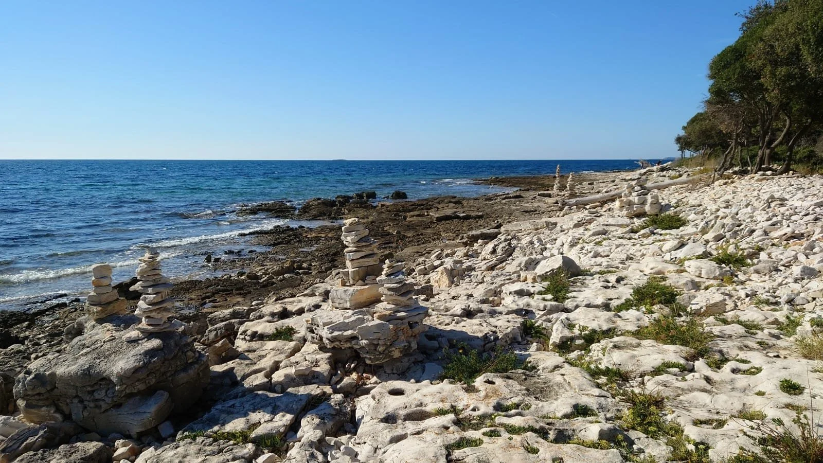 WhatsApp Image 2021-11-23 at 20.43.52 (1).jpeg