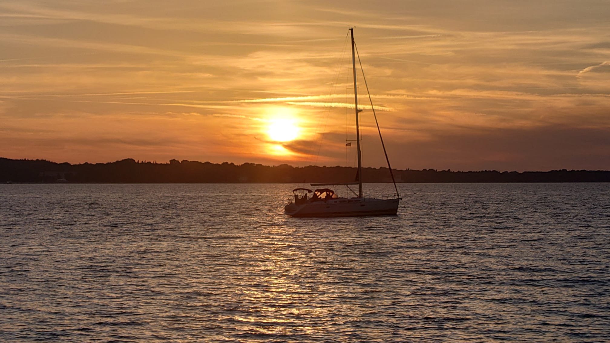 WhatsApp Image 2022-11-20 at 21.54.50.jpeg