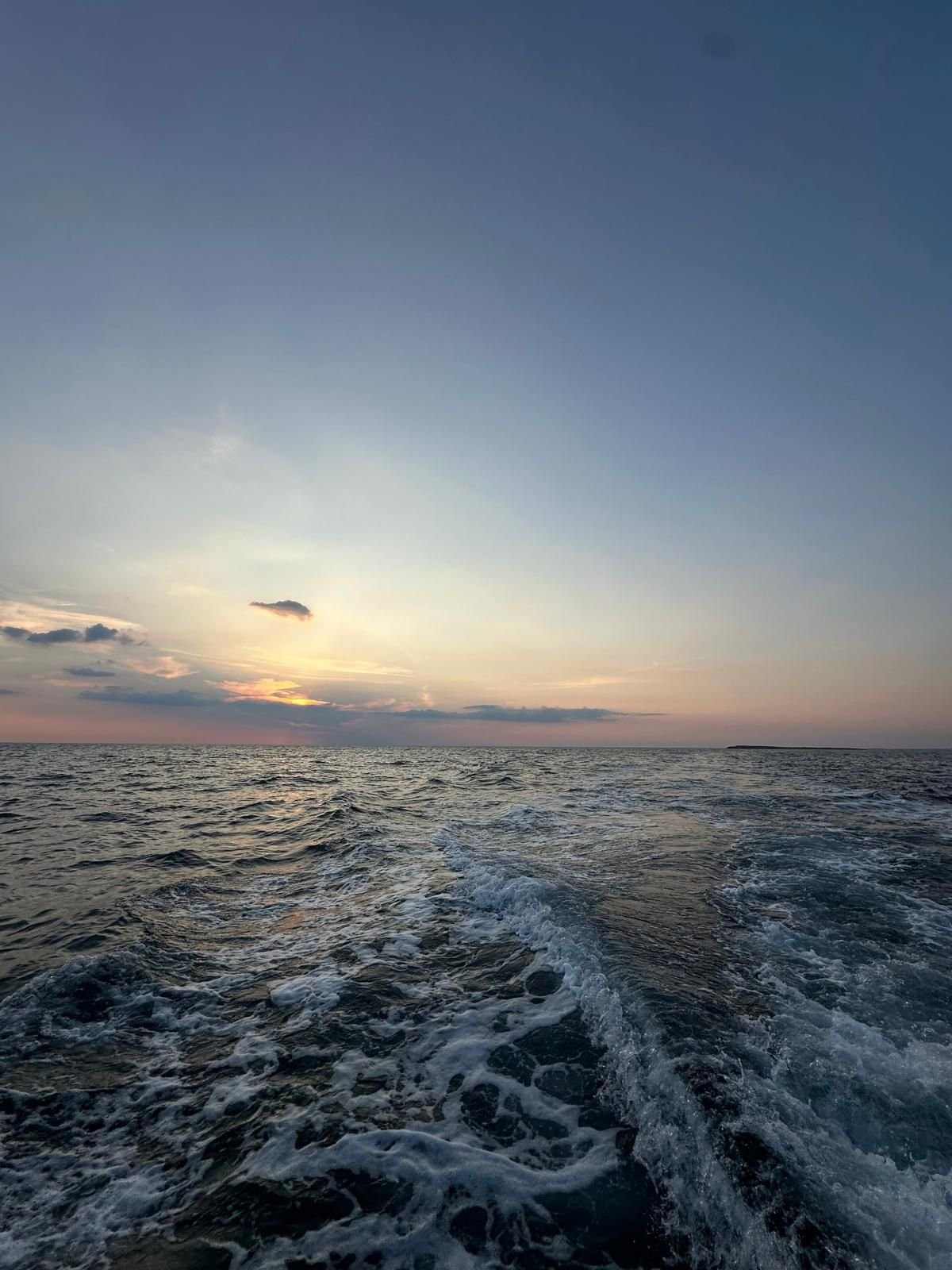 WhatsApp Image 2024-08-26 at 18.54.04 (1).jpeg