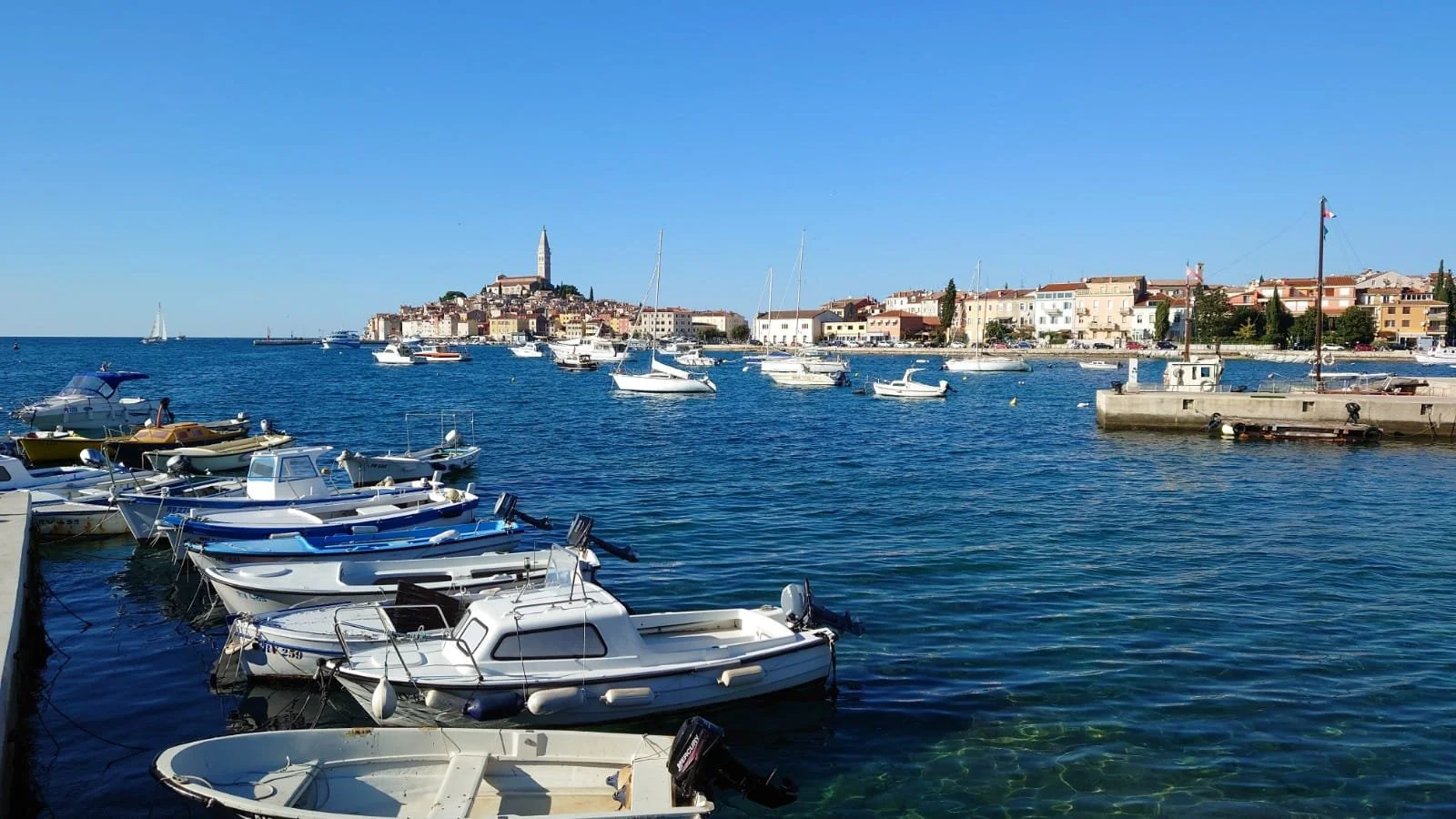 WhatsApp Image 2021-11-23 at 20.43.52 (2).jpeg