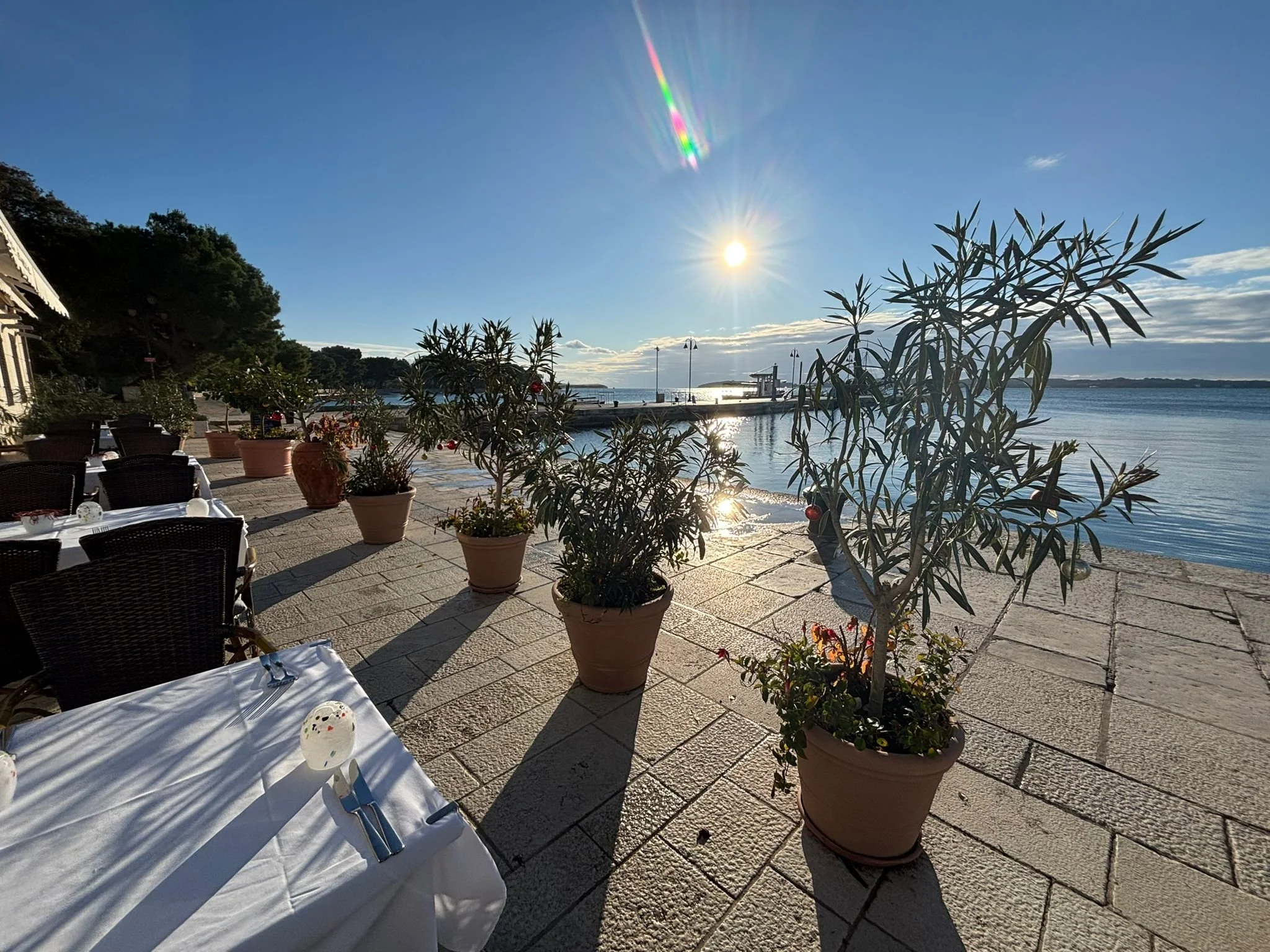 WhatsApp Image 2026-01-12 at 13.43.39 (1).jpeg