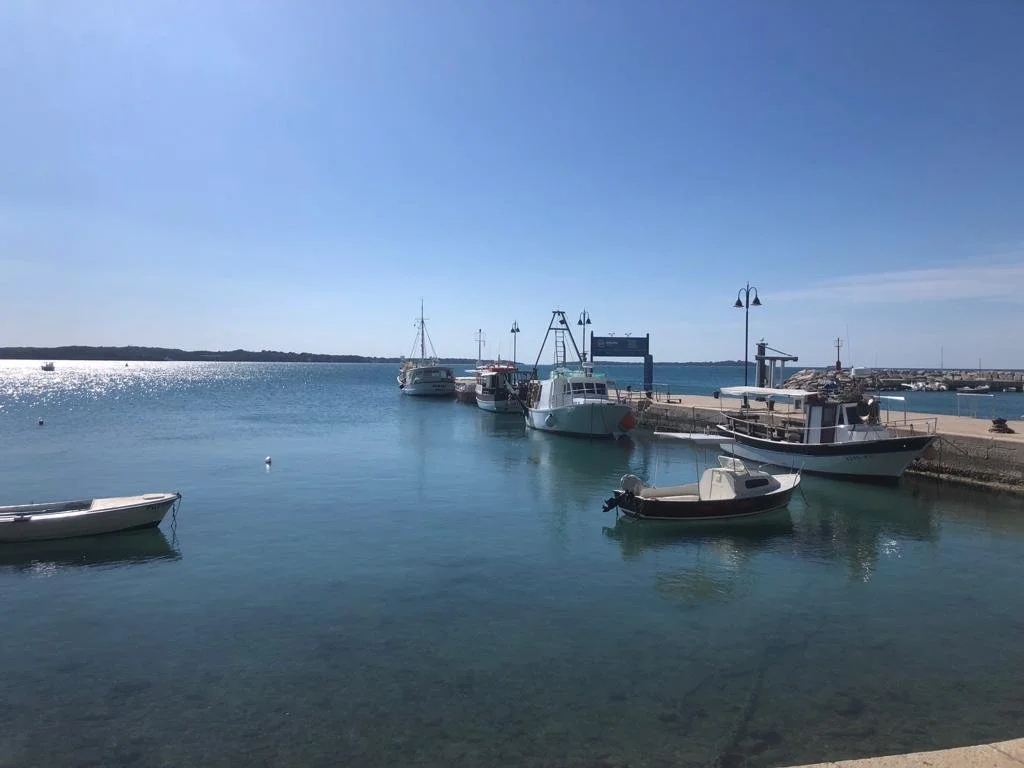 WhatsApp Image 2022-06-11 at 12.15.07 (5).jpeg