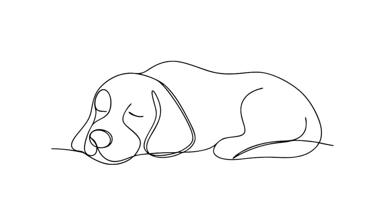 How Are You Sleeping?