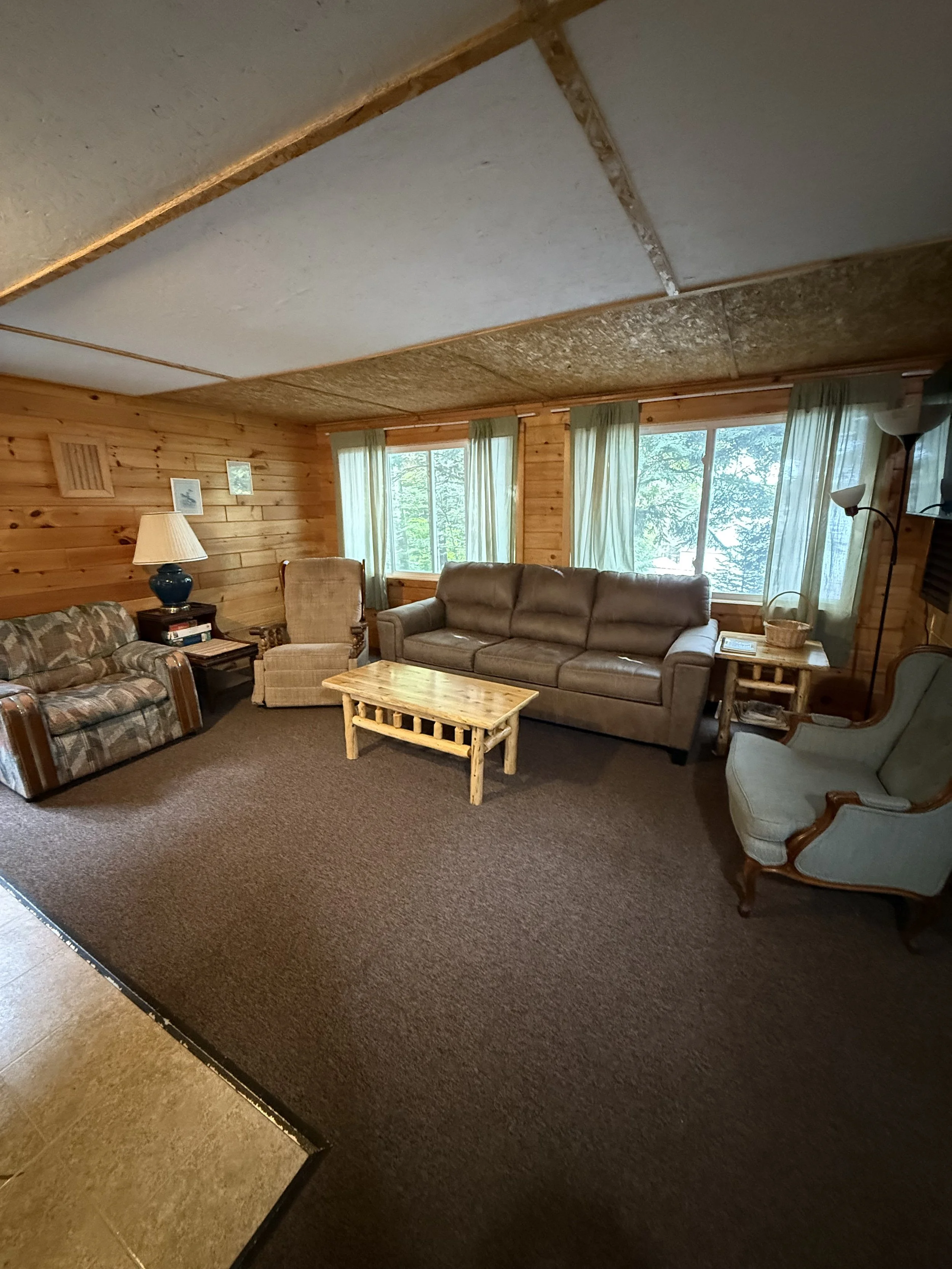spruce LR.jpeg