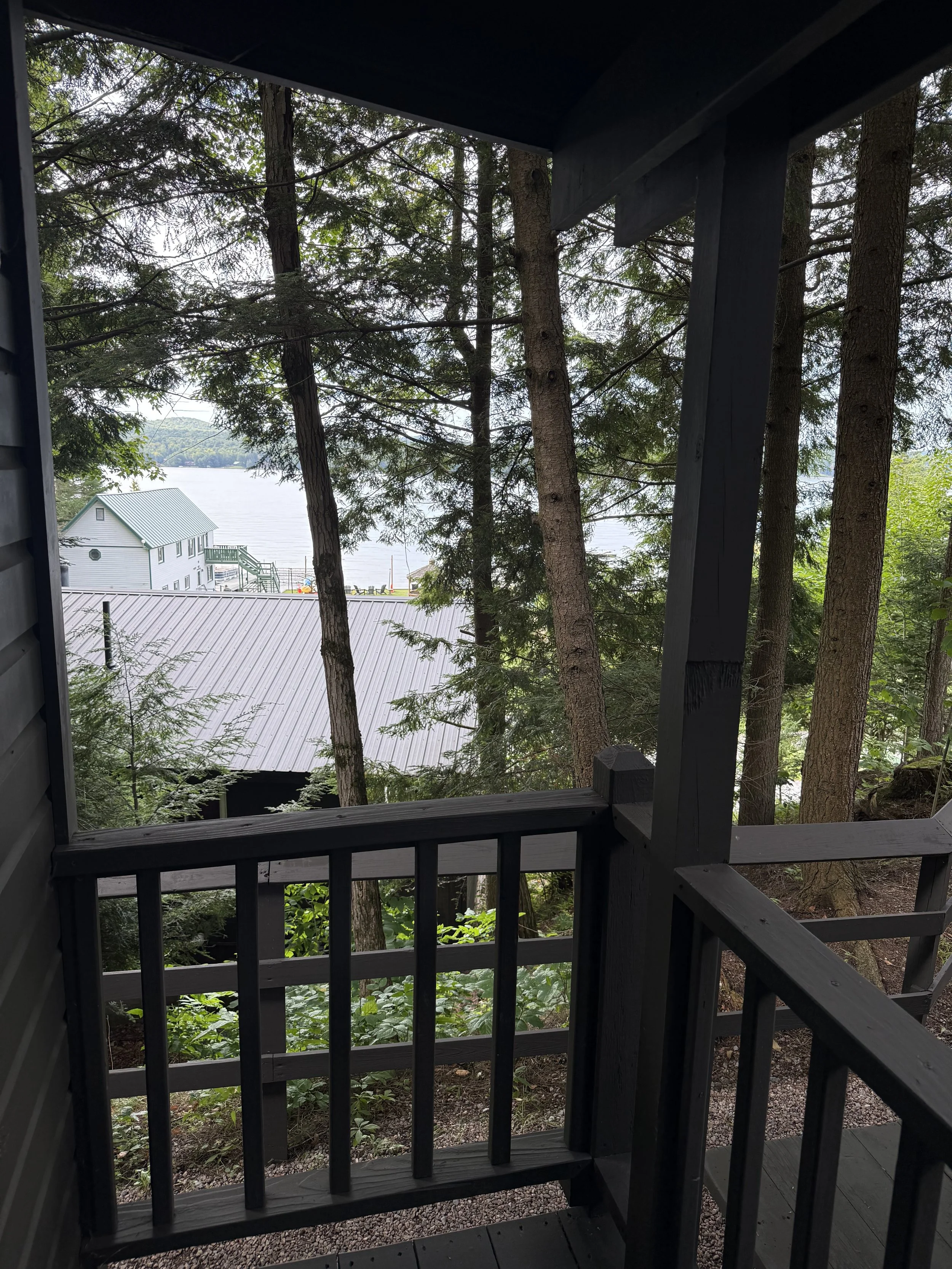 spruce view.jpeg