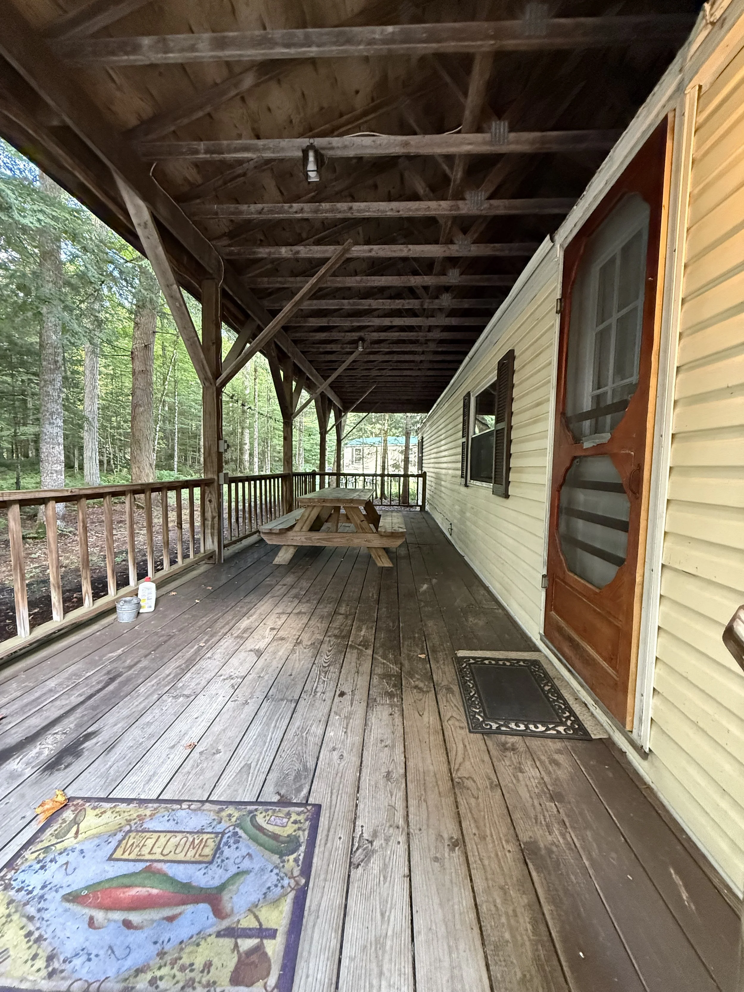 birch porch.jpeg