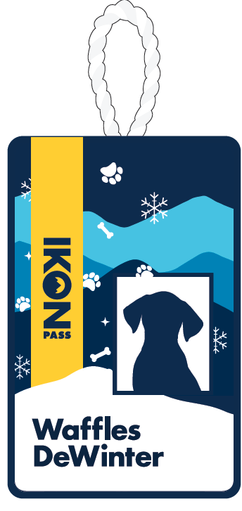 2025 - Custom Dog Toy