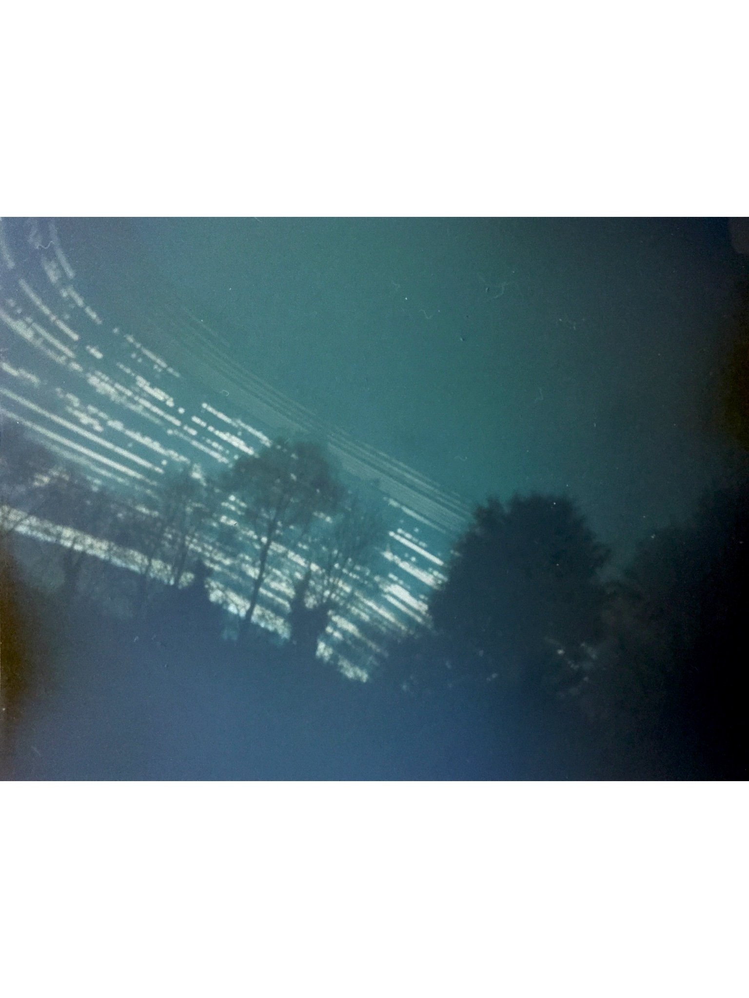 IMG_3638.jpeg