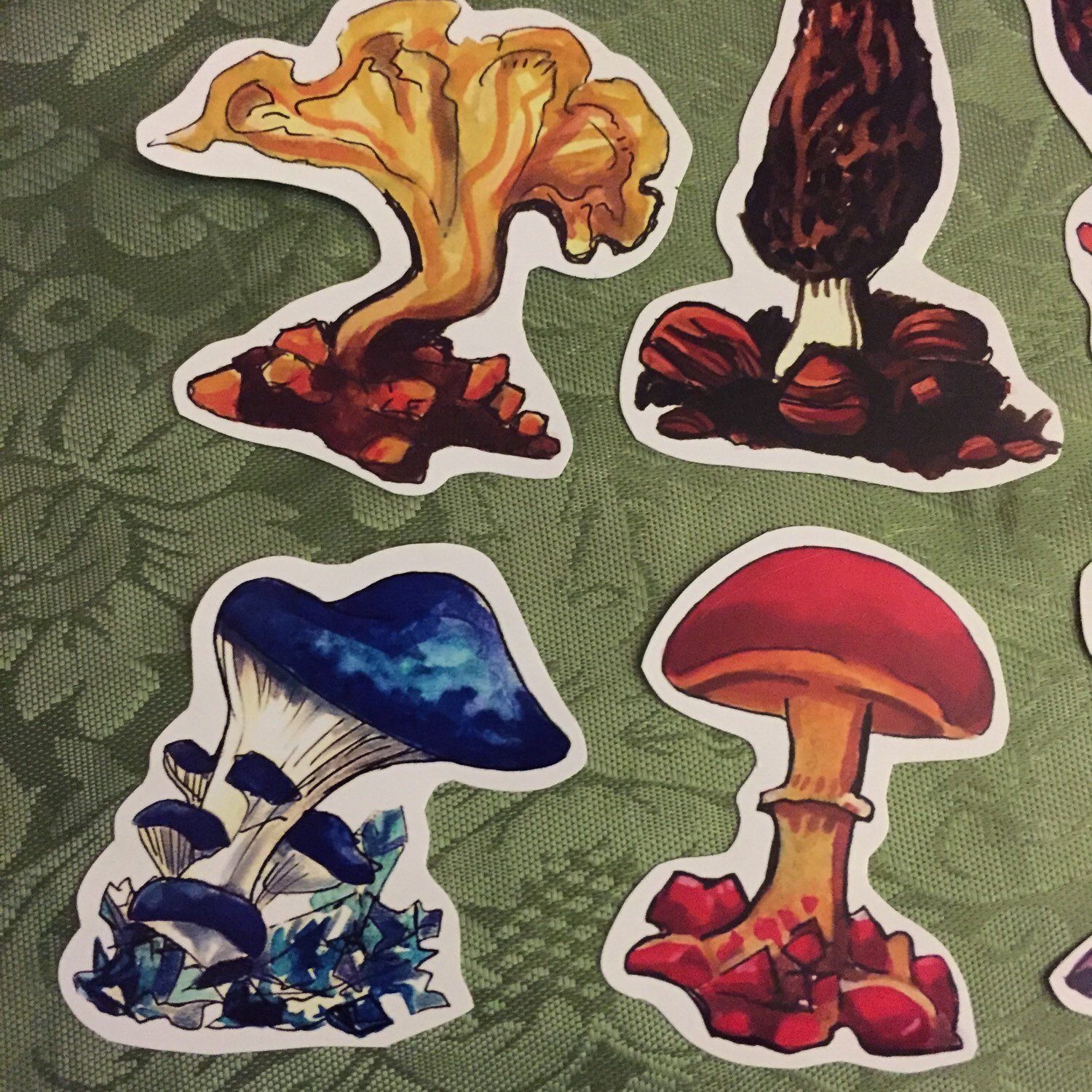 https://i.etsystatic.com/6335836/r/il/f81cb8/902866512/il_fullxfull.902866512_svut.jpg