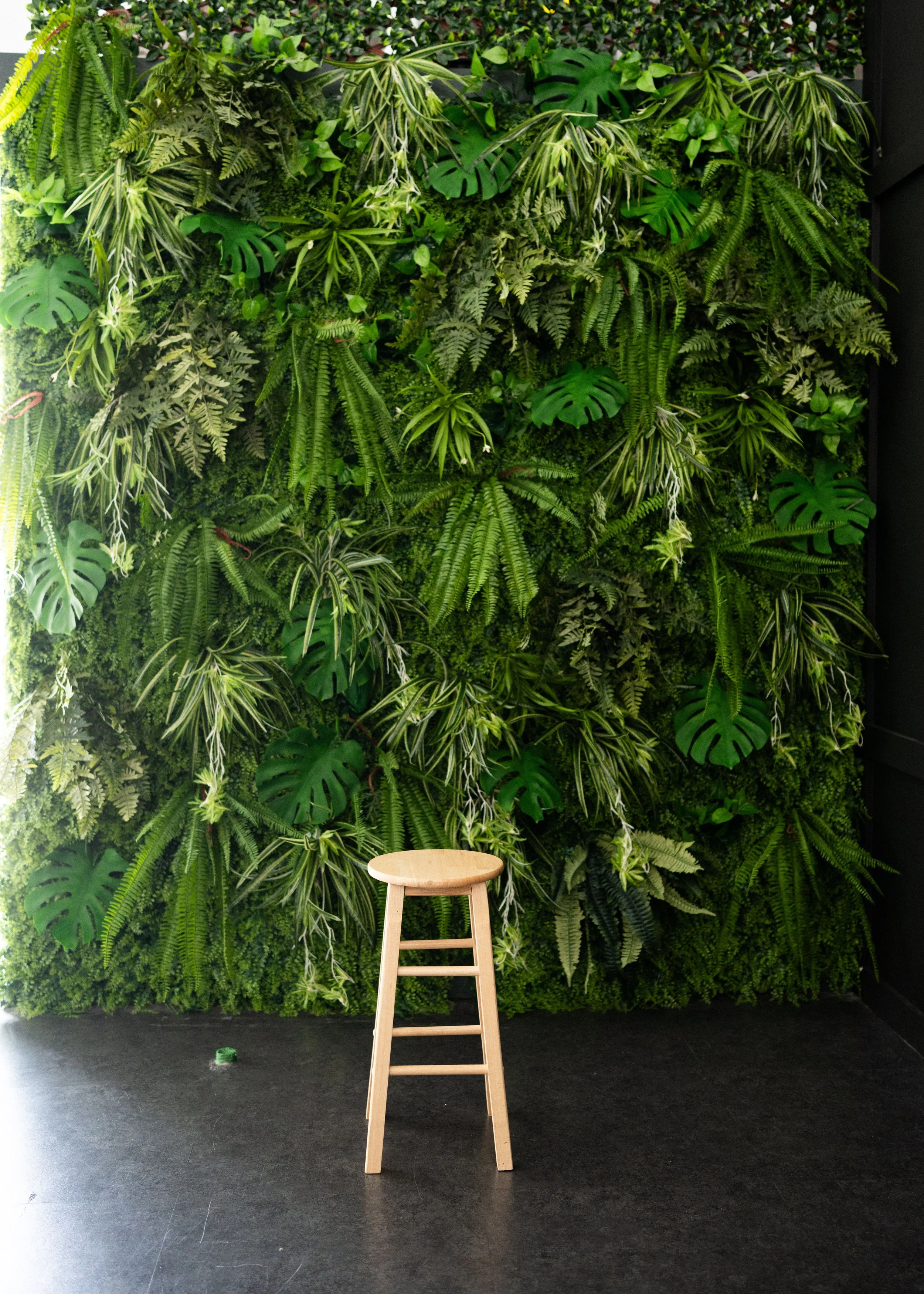 Jungle Forest — Available Until the End of September