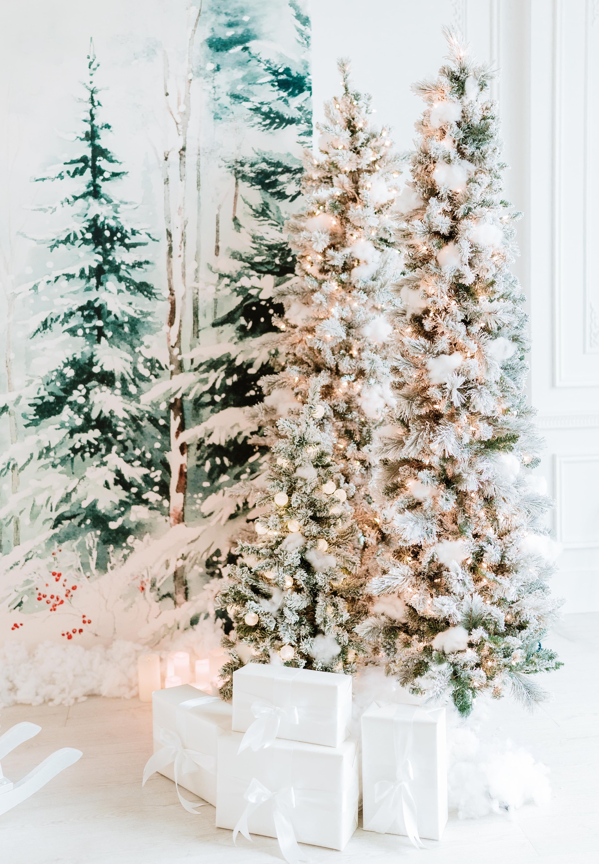 Frosted Forest Dreams - Available Oct 17-Dec 31, in front of the French moulding wall. 