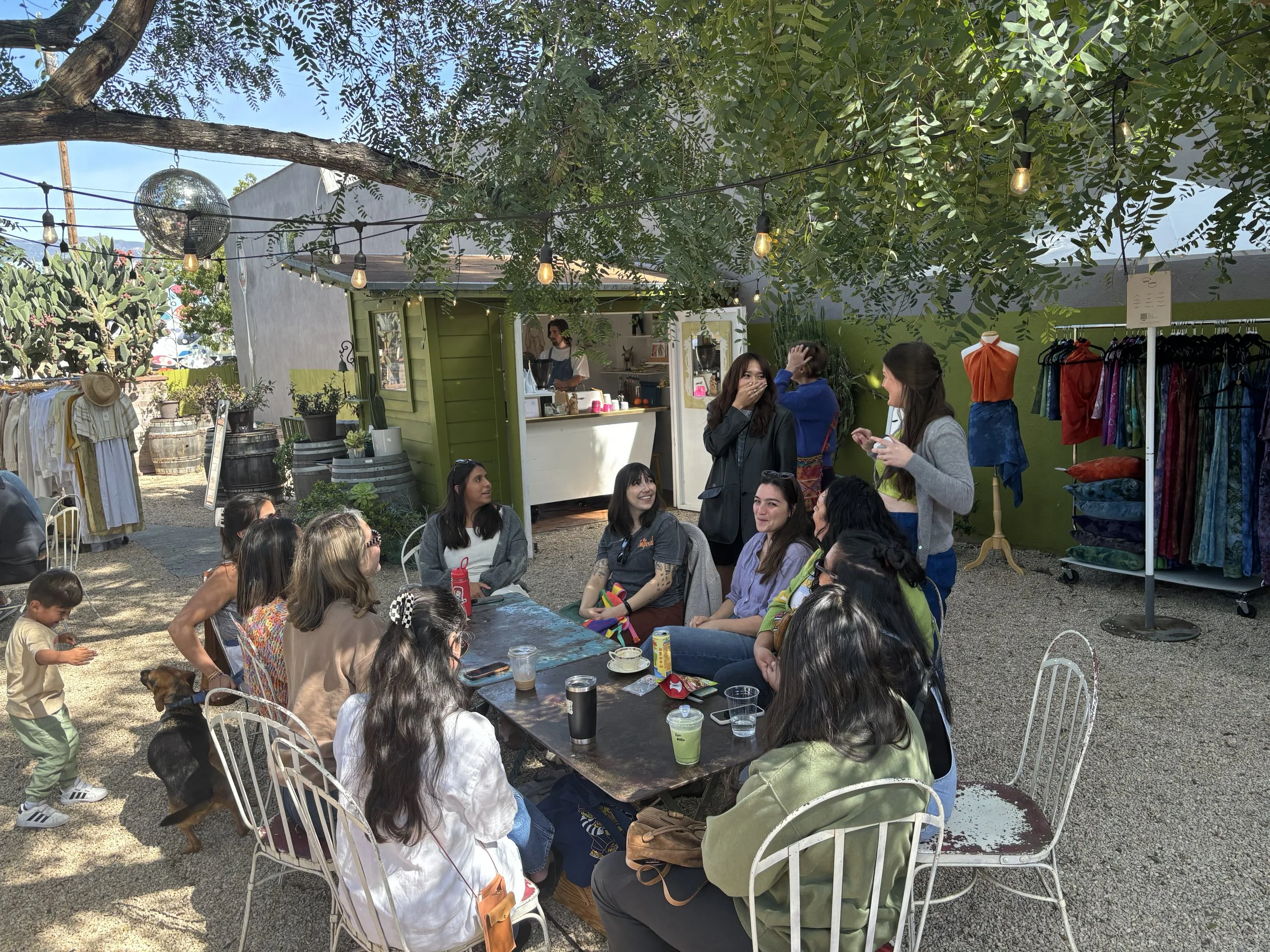 What I've Been Up To Lately