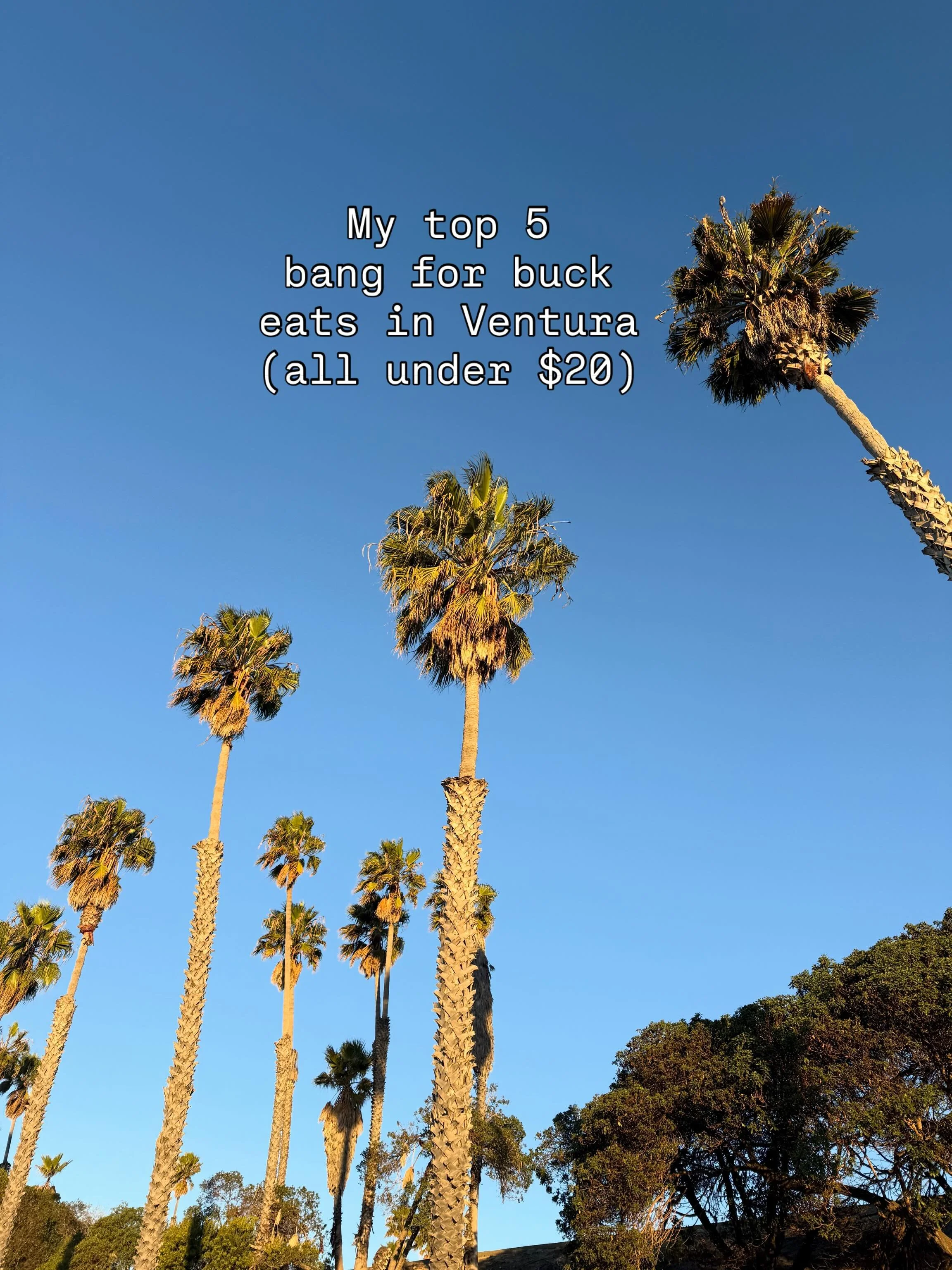 broke (or just on a budget) in ventura but still have taste? i got you

my go-to ventura food spots under $20 (yes, tip included). no sad meals. no overhyped spots. local spots only!

save this &amp; thank me later. what are your fave affordable spot