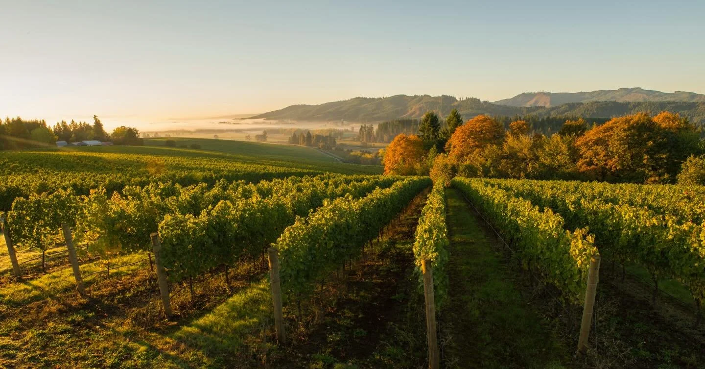 Forte Feature Fridays! 🍇

Tualatin Estate Vineyard, established in 1973 by wine pioneers Bill Fuller and Bill Malkmus, is one of the oldest and most respected vineyard sites in Oregon&rsquo;s Willamette Valley. Wine grapes from this 171-acre vineyar