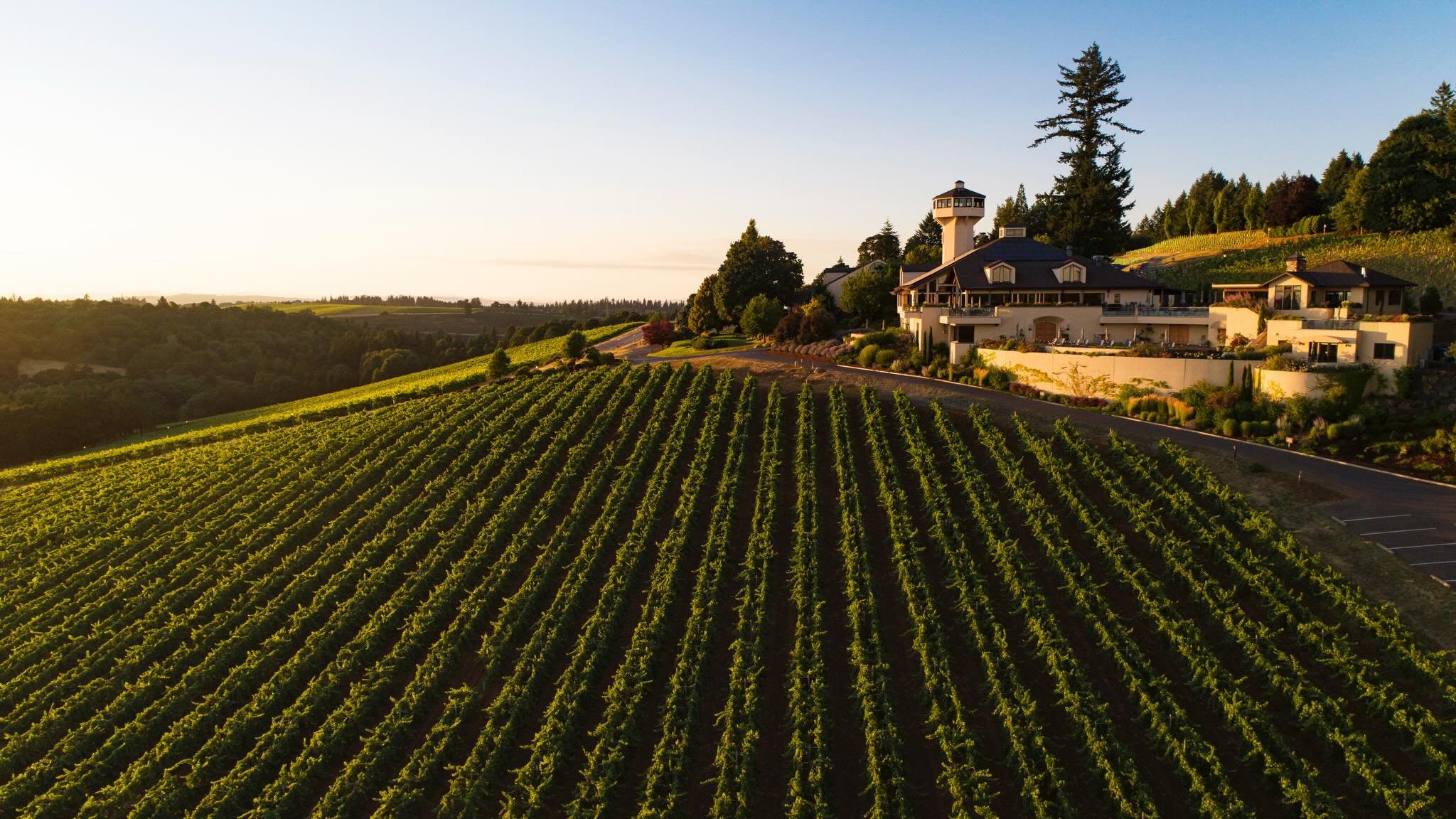 Forte Feature Friday 🍷

Brought straight from the rolling hills of Oregon Wine Country to your glass at Forte. We&rsquo;re proud to pour bottles sourced directly from Willamette Valley Vineyards&mdash;where every sip reflects craftsmanship, care, an