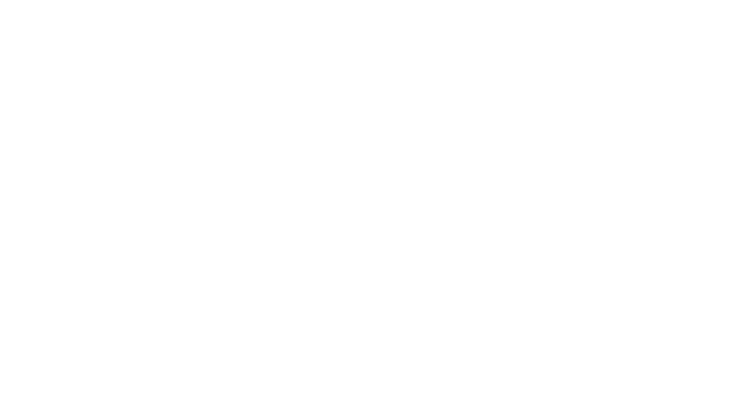 Forte Denver 