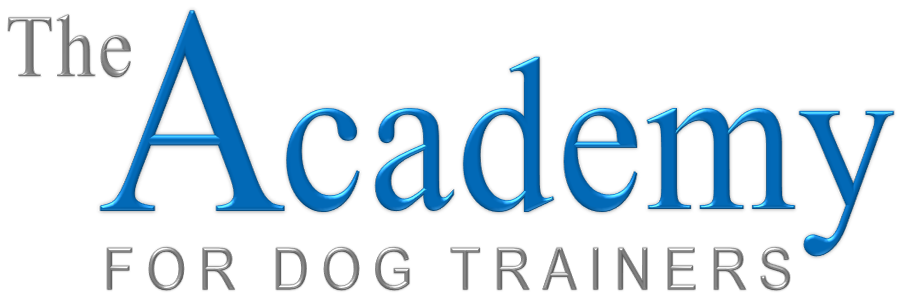 Academy Logo PNG.png