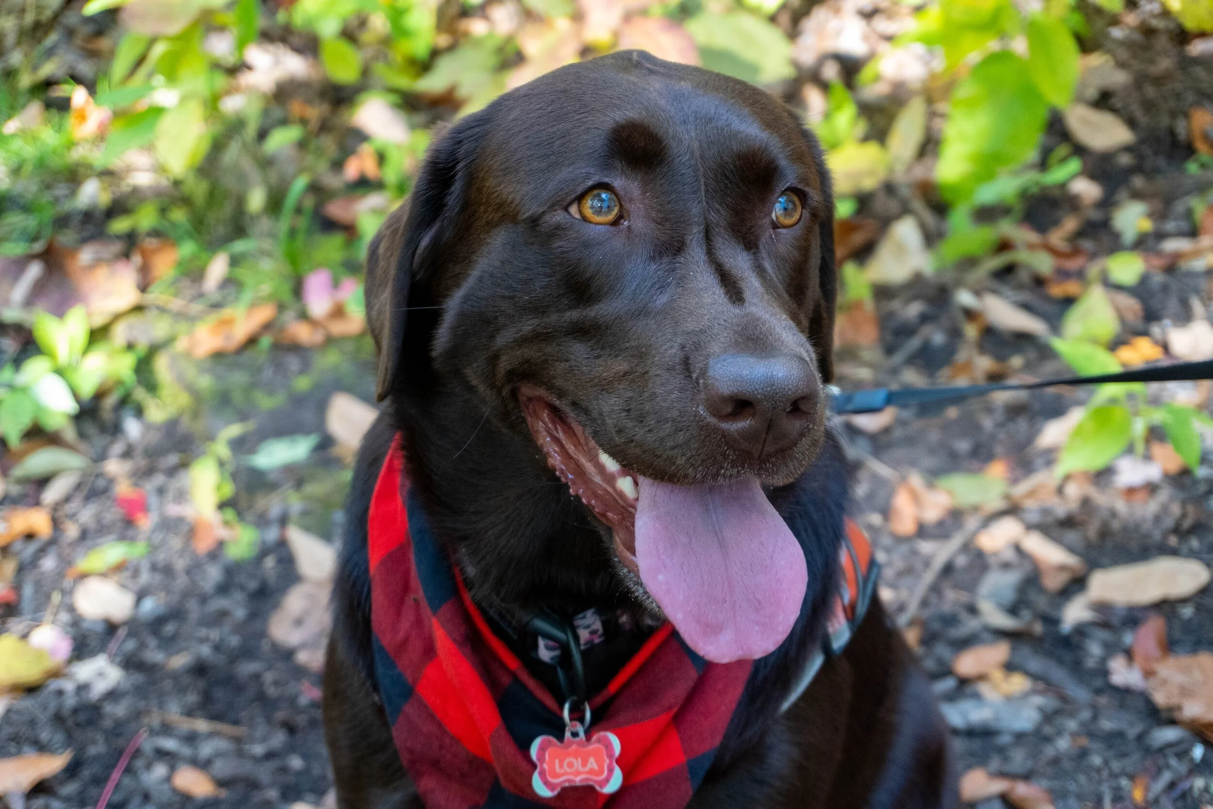 "Good" behavior doesn't always equal "good" emotions.