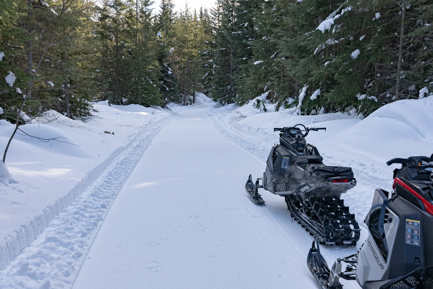 Snowmobiling in Golden, British Columbia
