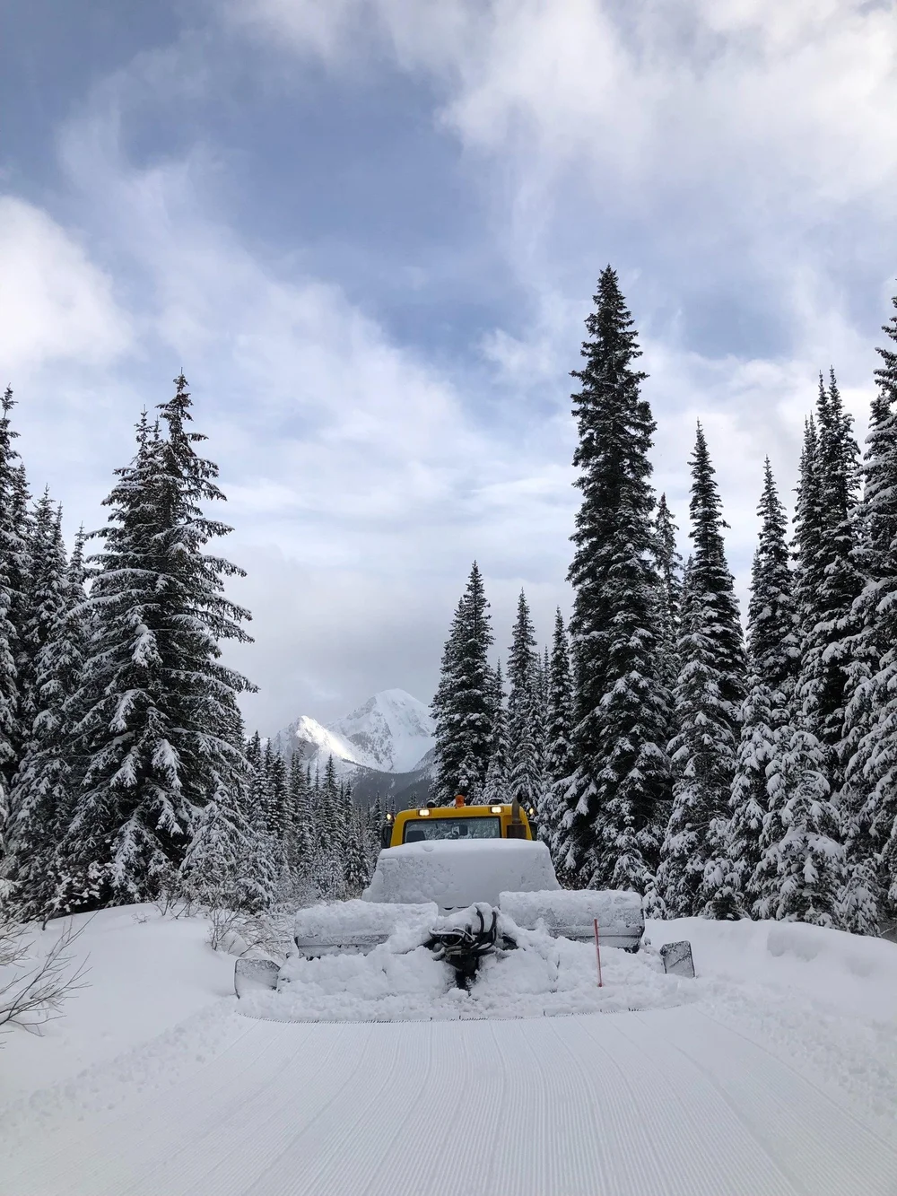 Snowmobile trail grooming near Fernie, British Columbia