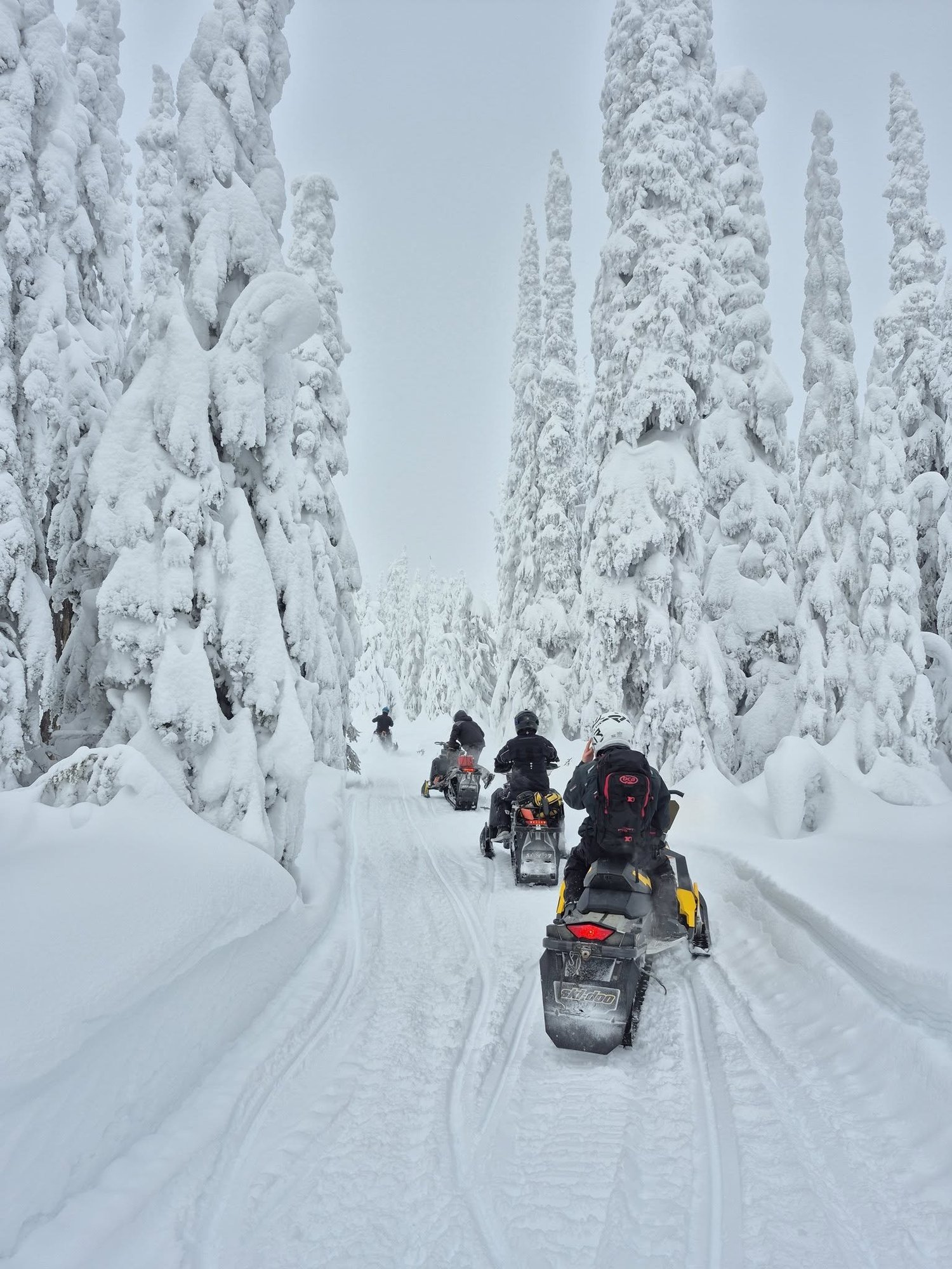 Snowmobiling in Kamloops, British Columbia