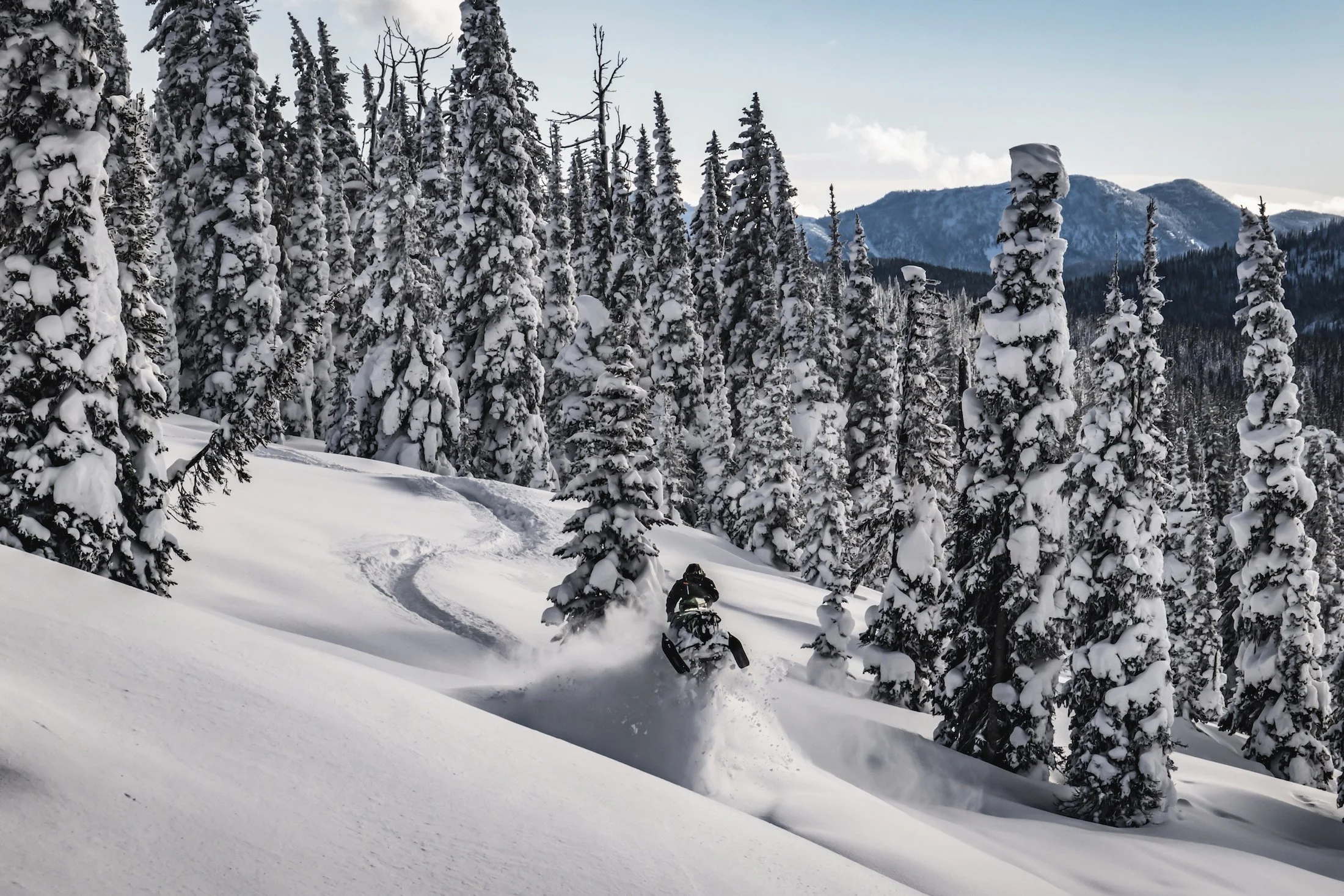 FERNIE