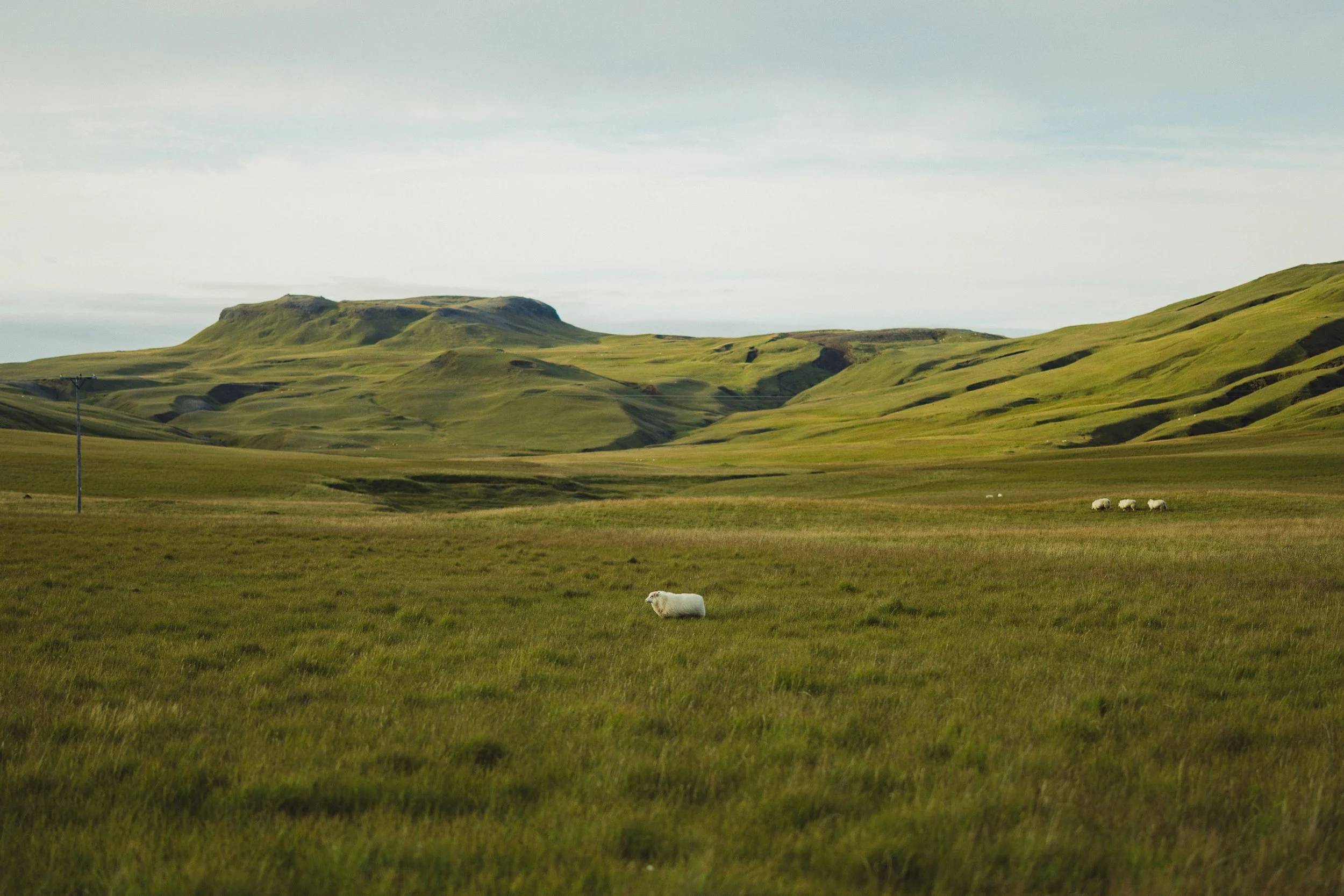 20230905JHuns_Iceland-.jpg