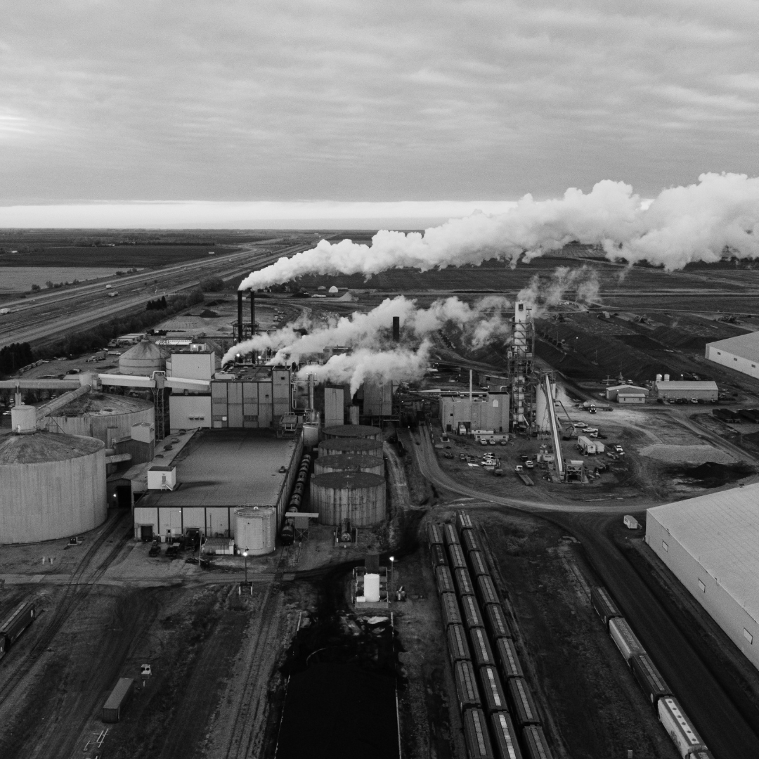 Impact — Nature Coatings