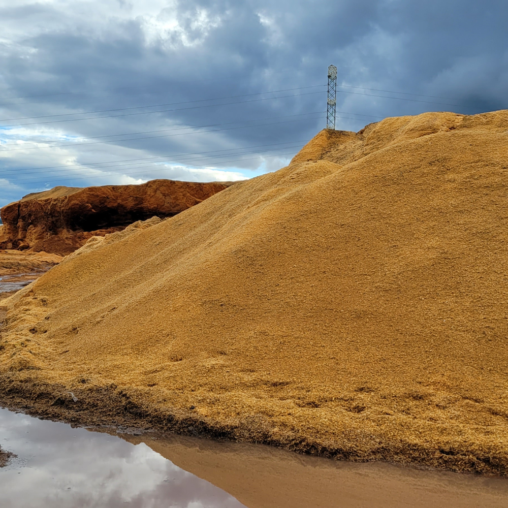 Impact — Nature Coatings