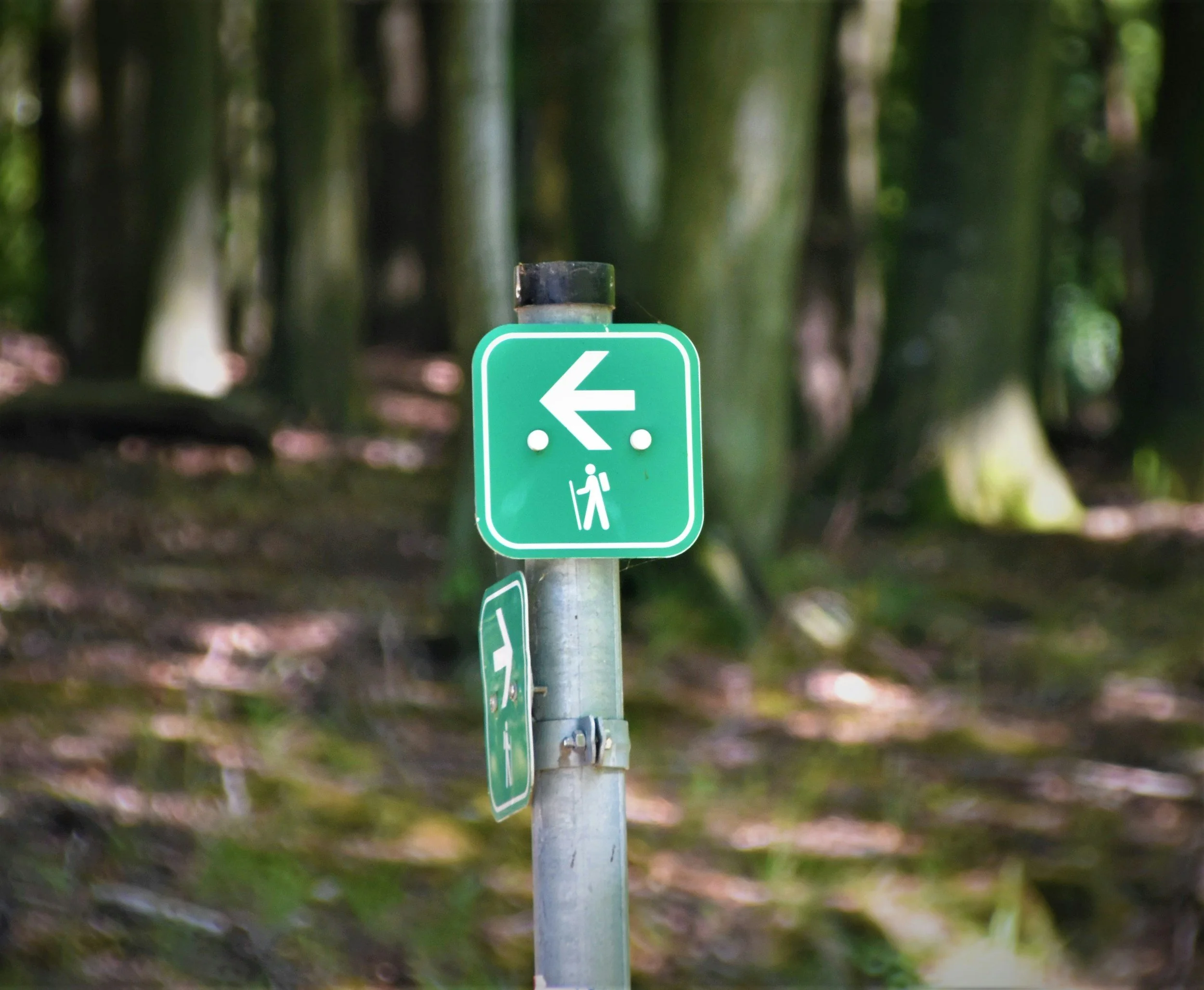 All Signs Point to Jesus