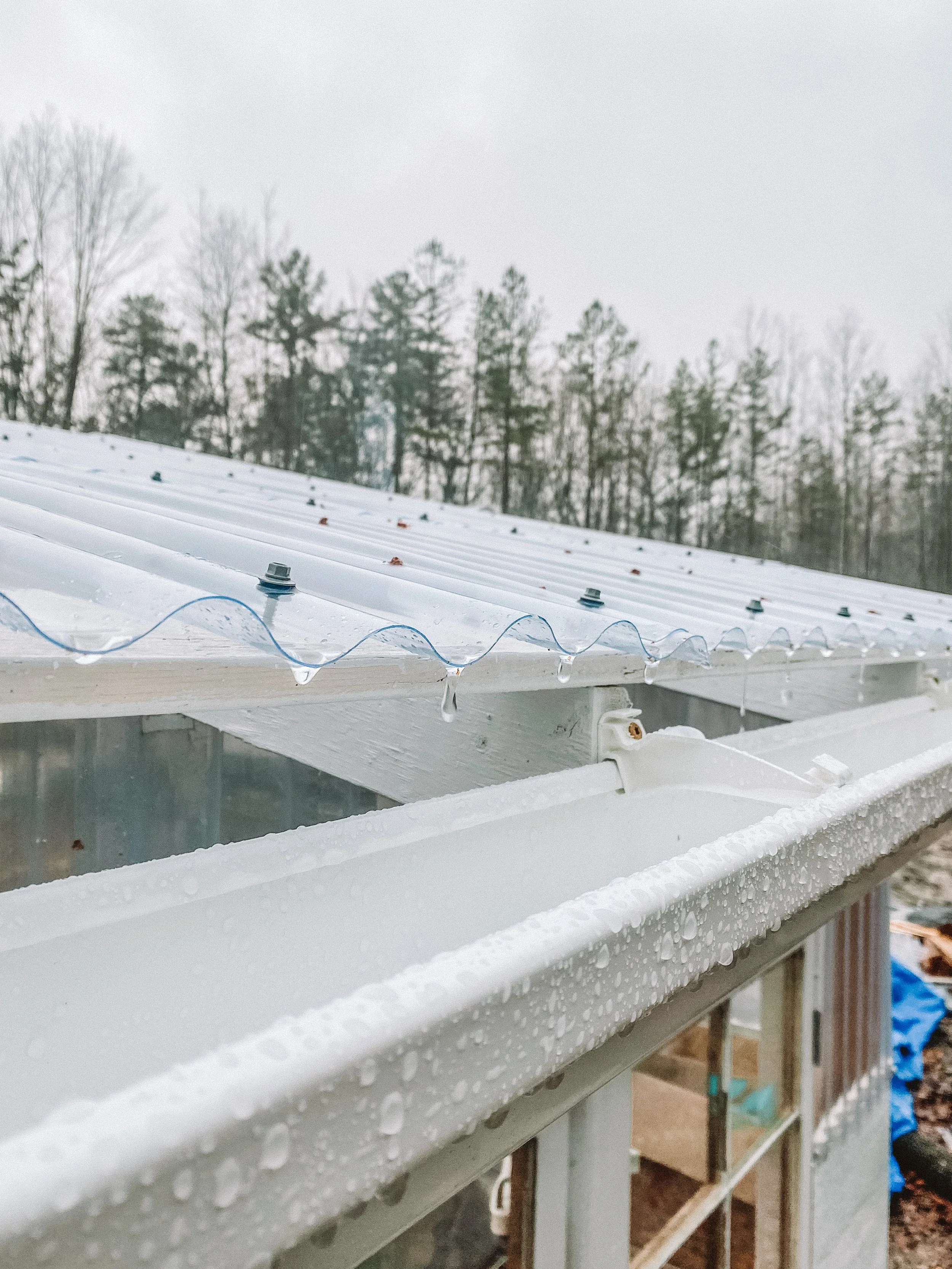 How To Collect Rainwater &amp; Figure Out How Much Water You Need To Survive