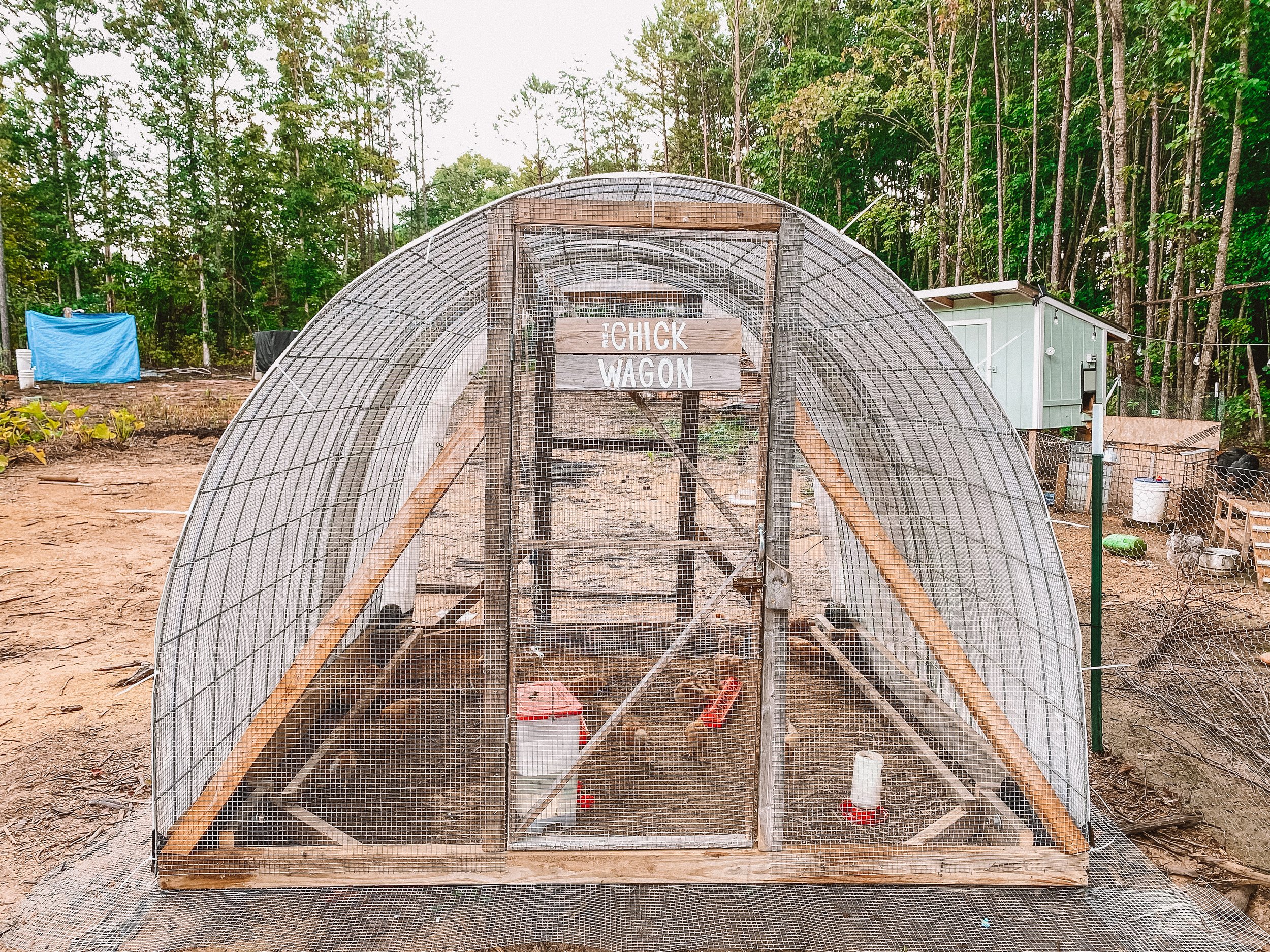 chicken tractor, mobile chicken coop, chicken coop, mobile chicken tractor