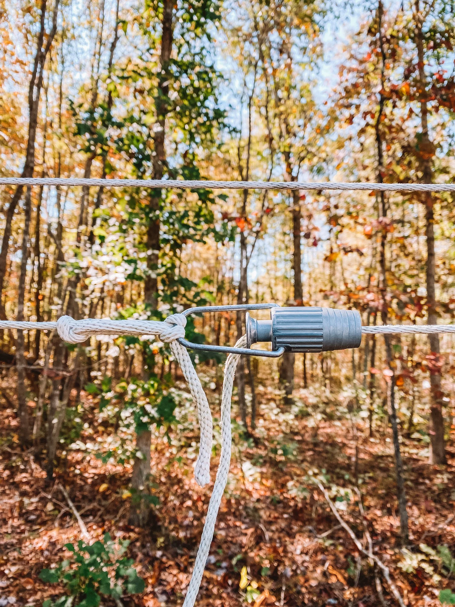 How To Set Up A Clothesline — The Off Grid Homesteader