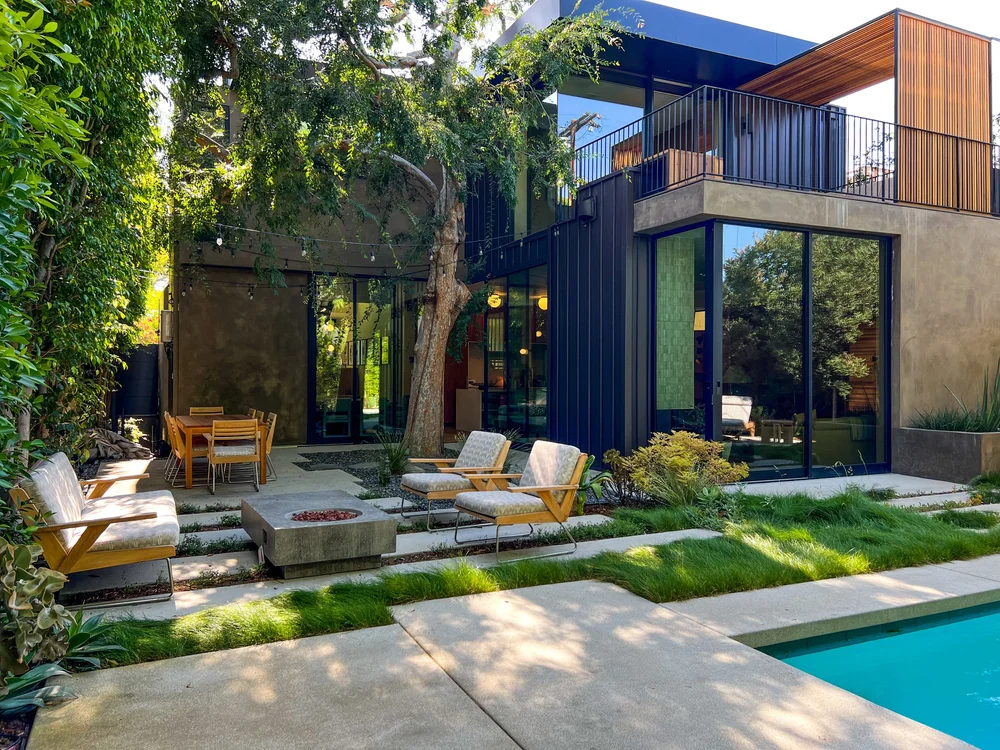 Sanctuary in the City — Viola Gardens