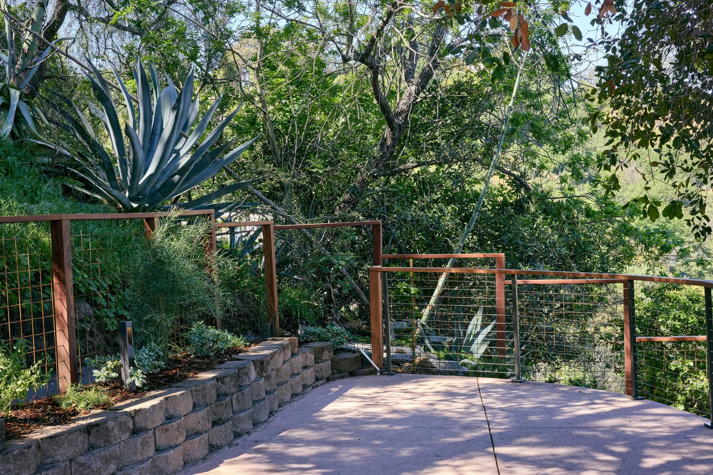 Viola Gardens_ Hollywood garden_March2026 1.jpg
