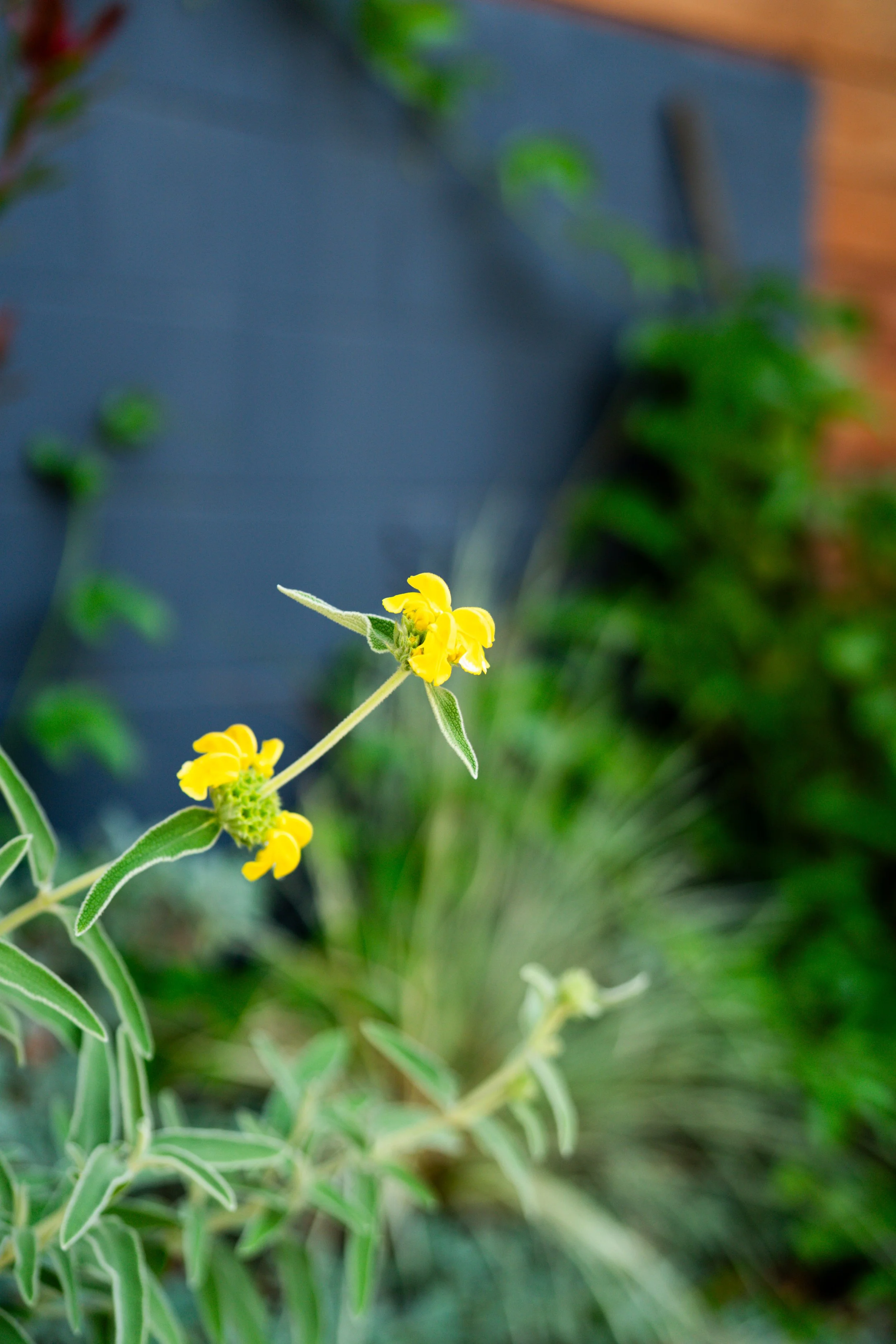 DSC09042.jpg