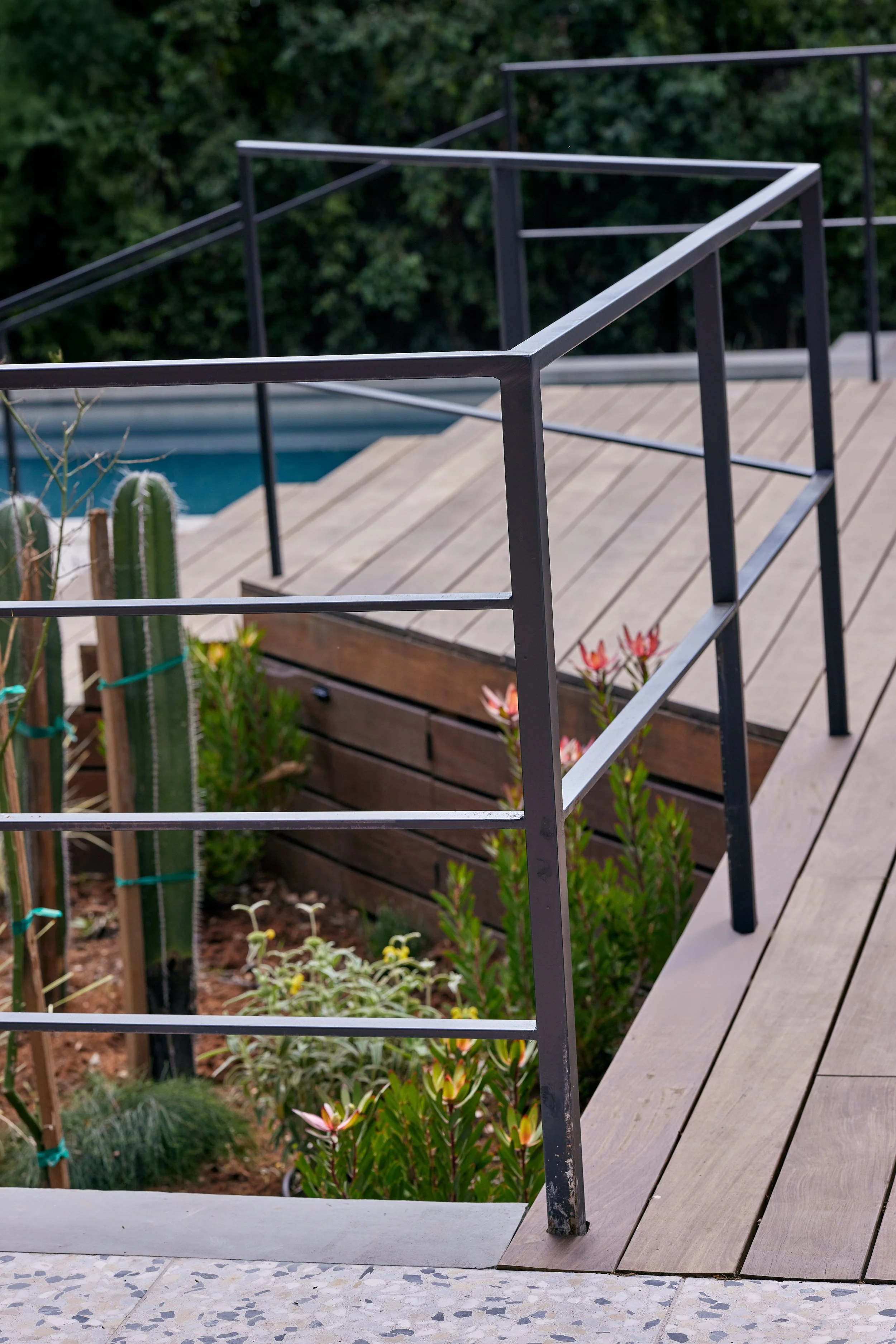 Wayme_Viola gardens 150.jpg