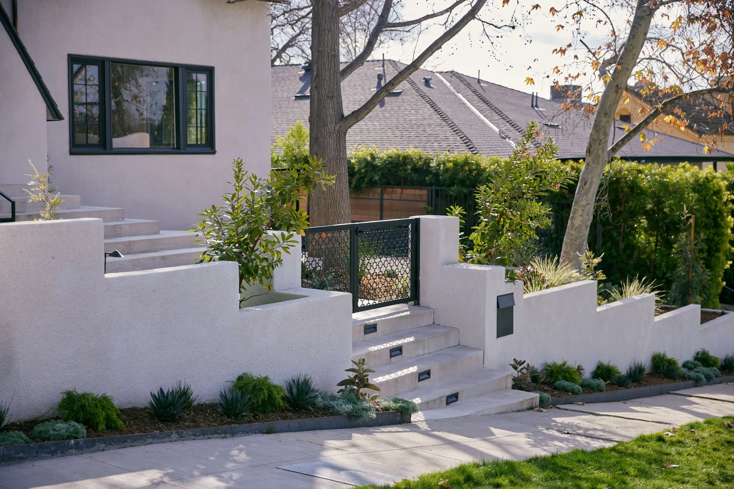 Wayme_Viola gardens.jpg