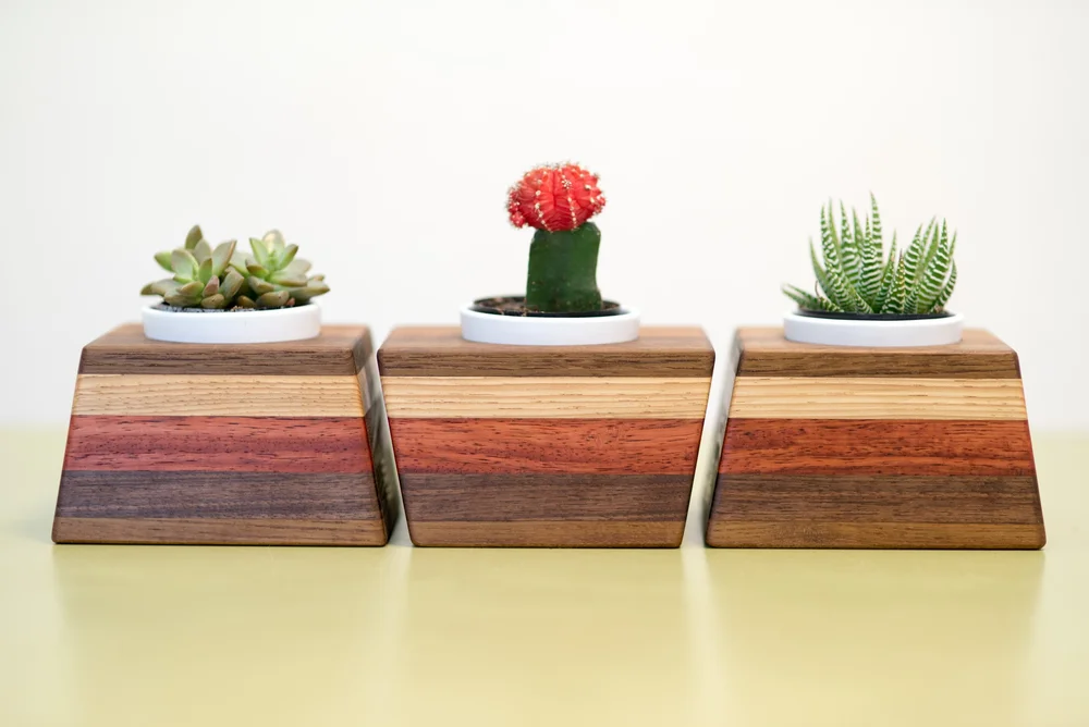 Succulent holders  Zo WoodWorks