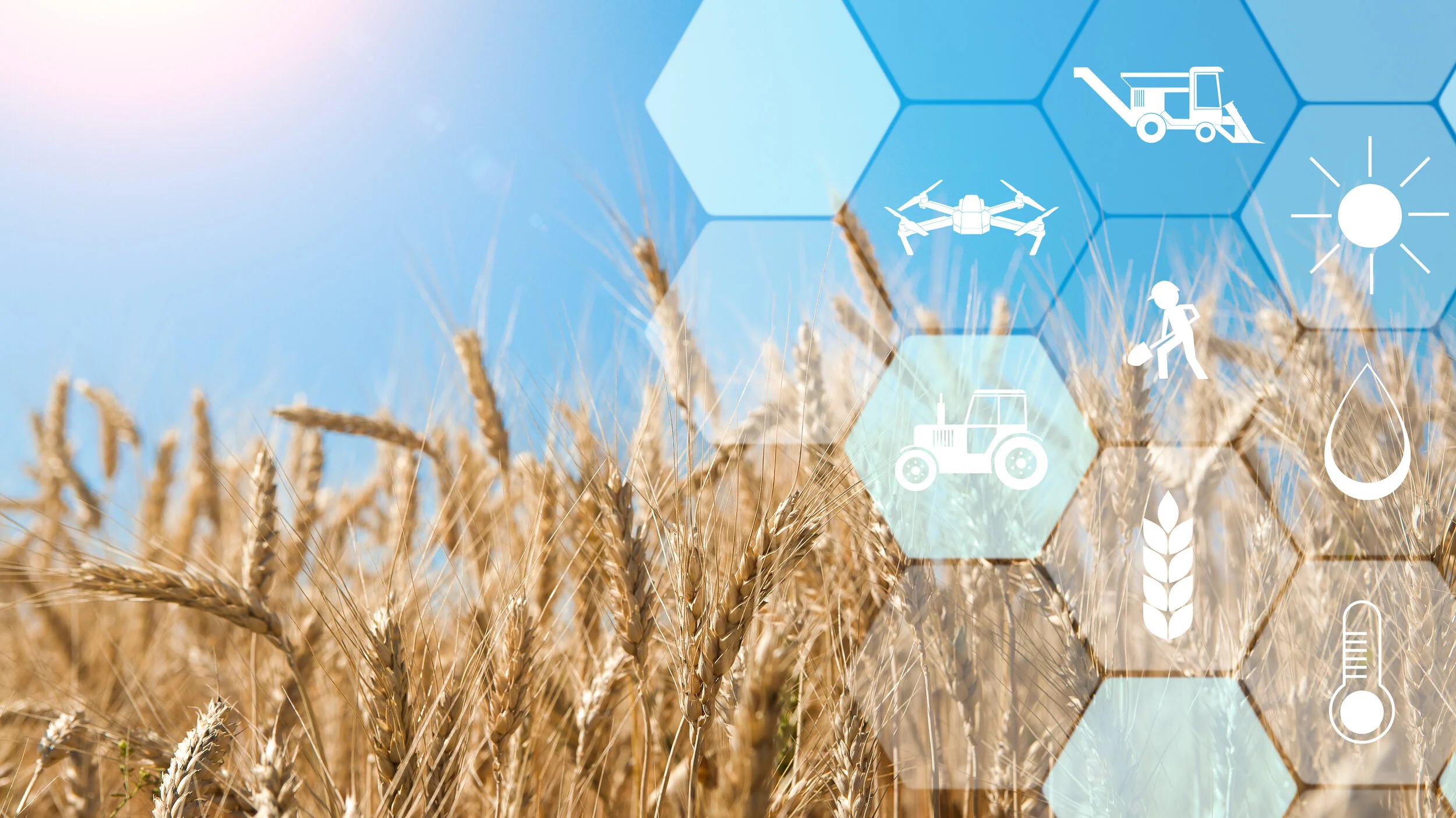 Big Data is Changing How Farmland Can be Evaluated, Valued and Traded.