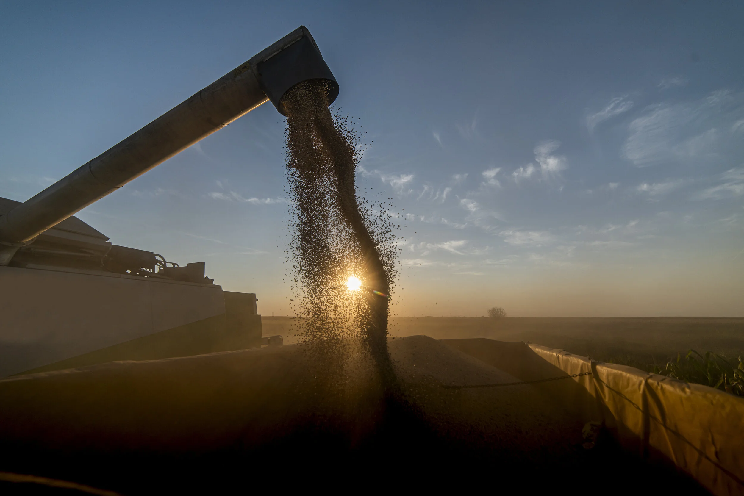 Diesel Crush: Renewable Diesel Could Increase Soybean Acres by More Than 60%