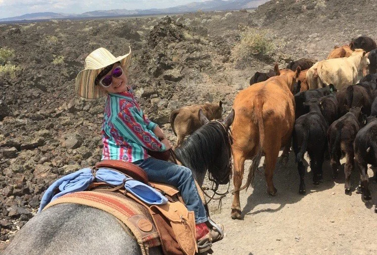 Ranchland As an Investment