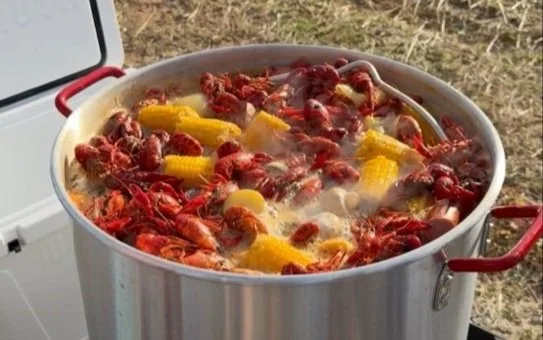 Crawfish &amp; Bayous