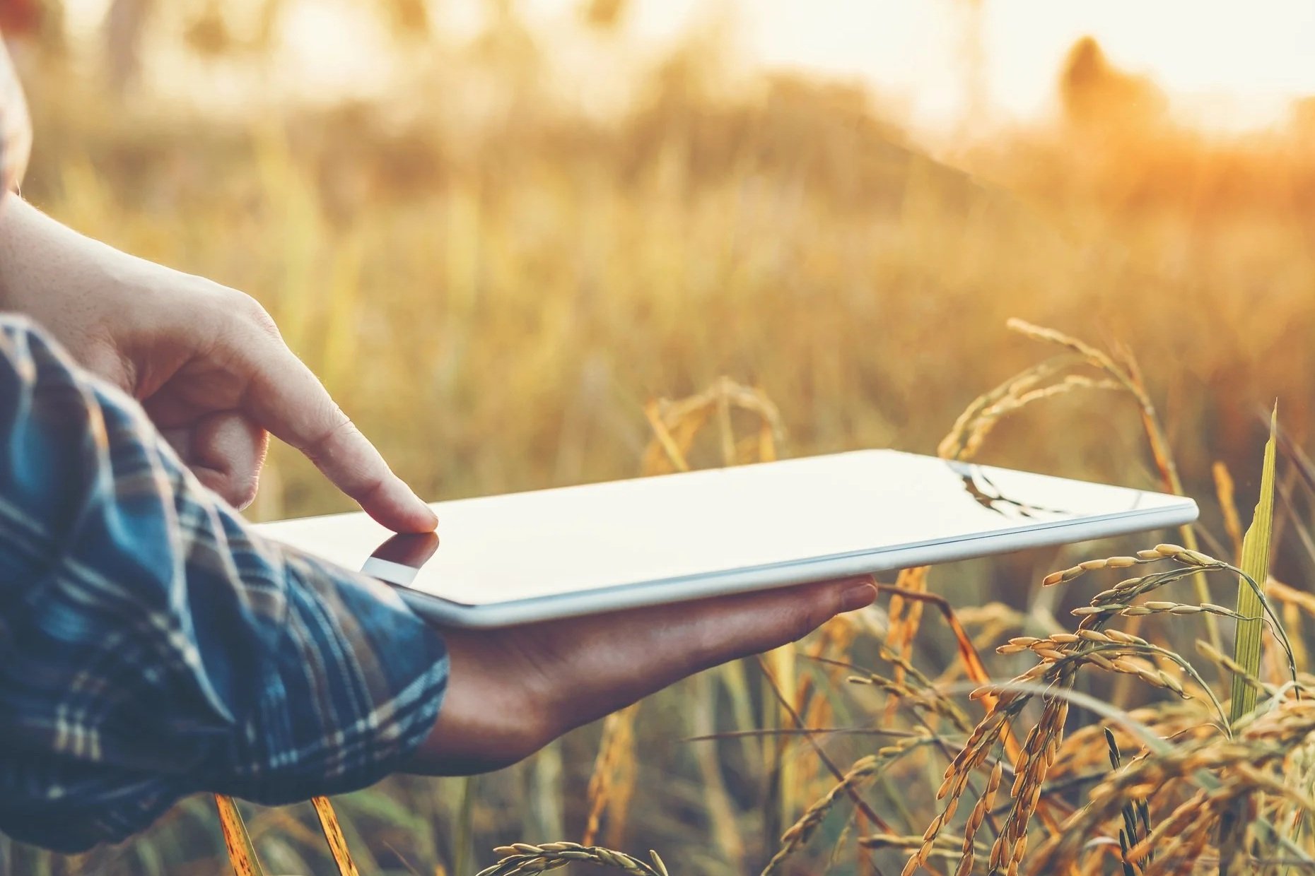 Farmland Investment Due Diligence: A Fiduciary Framework for Risk Management and Capital Protection