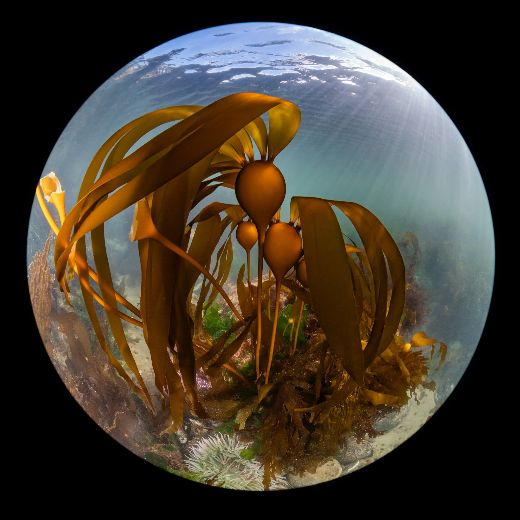 DSC_2864-87-Edit.jpg