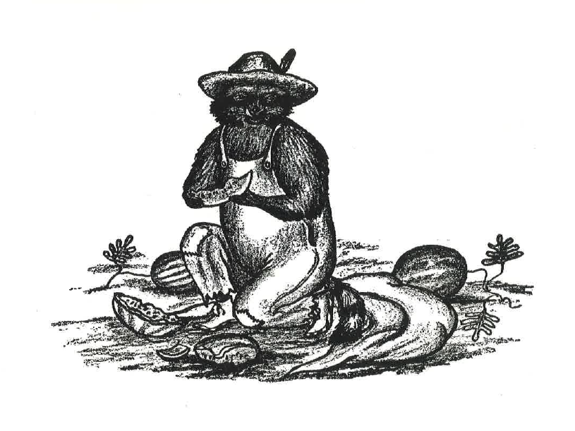 U.S. Office of Indian Affairs 1942 - The Slim Butte Raccoon