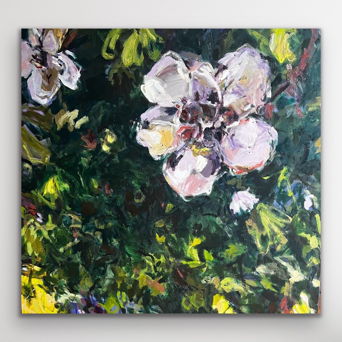 Dancing Magnolia, 100 x 100cm